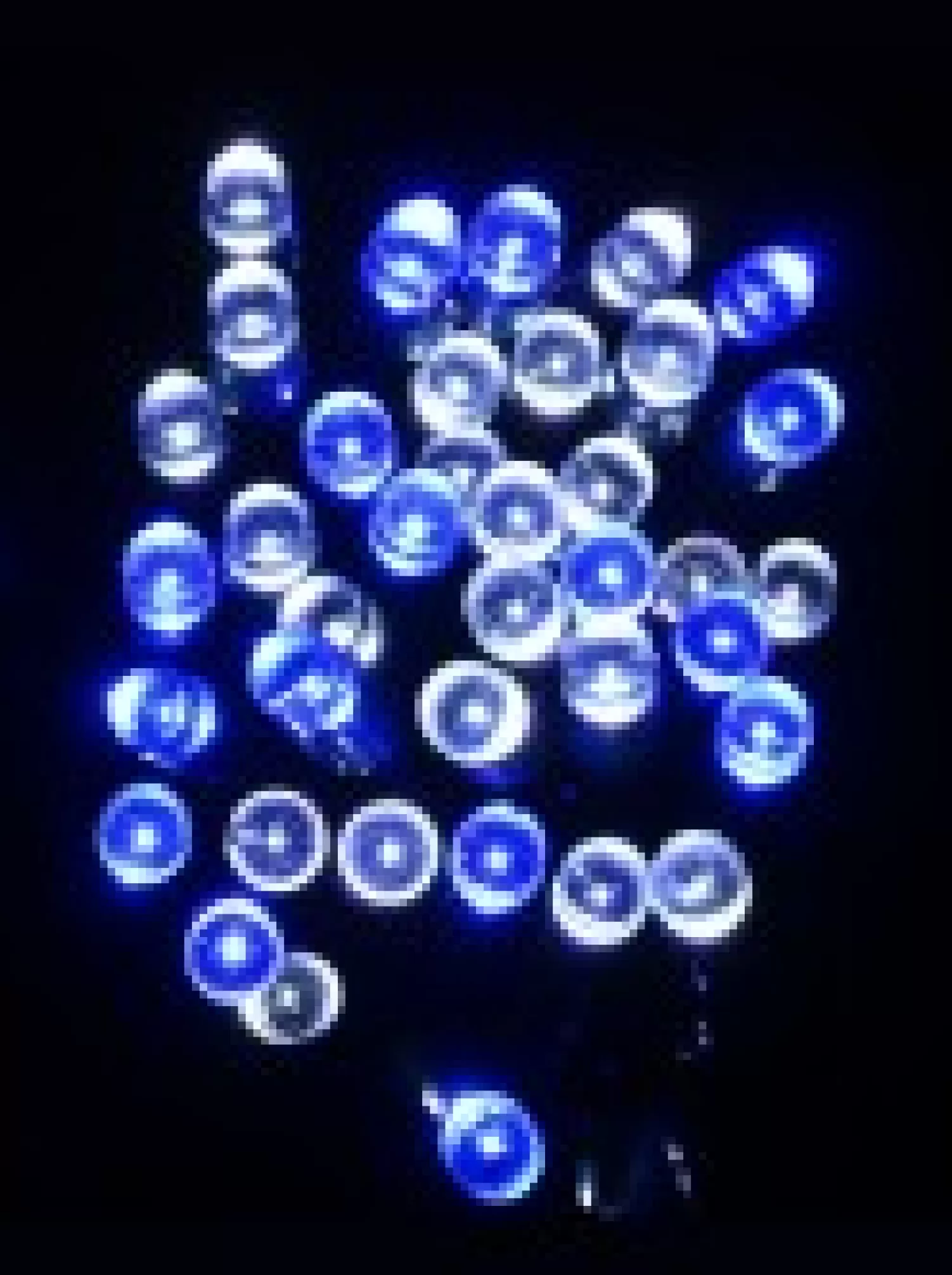 Christmas Warehouse 1000 Blue & Cool White Led Concave Bulb Christmas Fairy String Lights - 50M> Led Fairy Lights