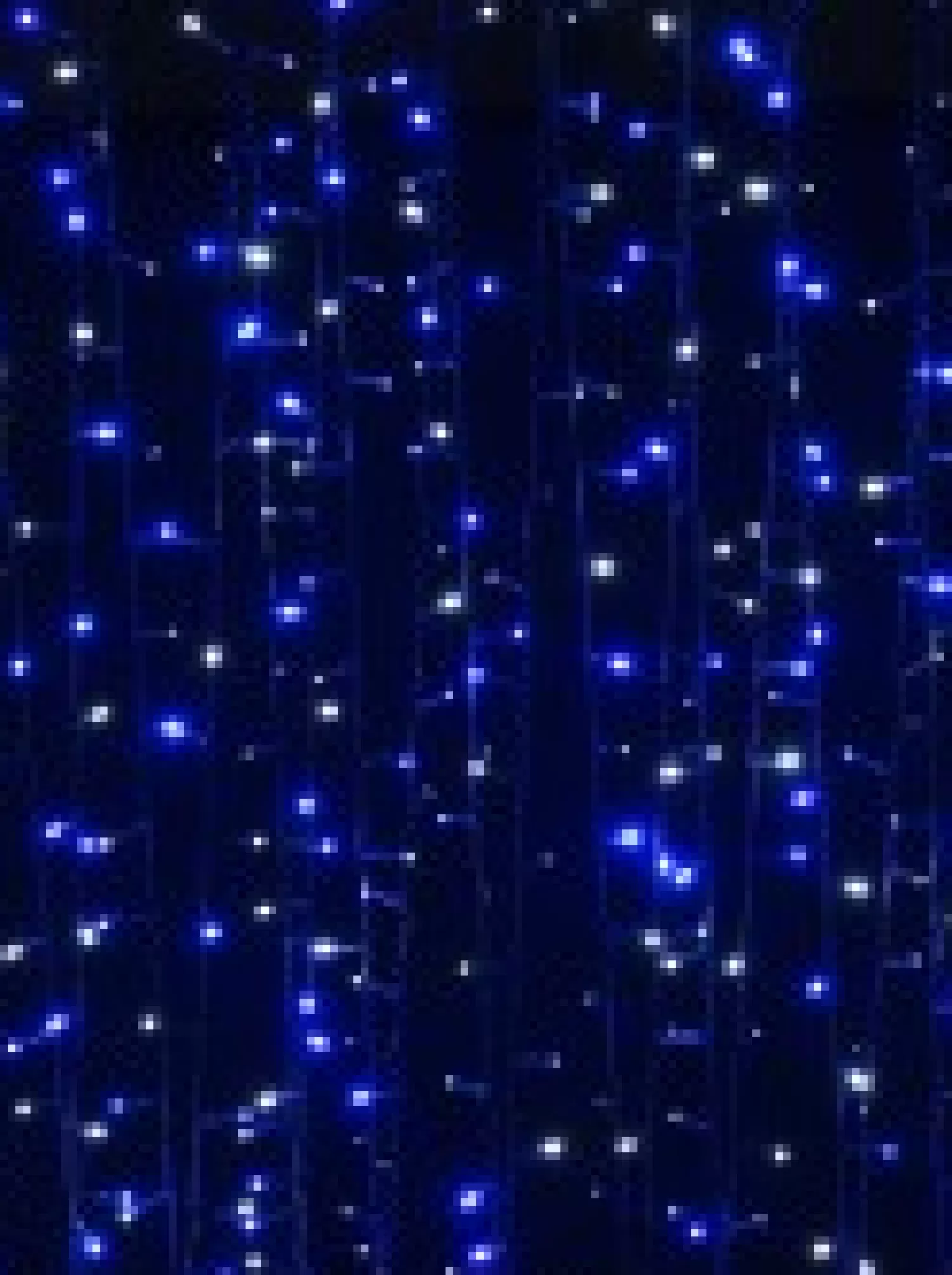 Christmas Warehouse 1000 Blue & Cool White Led Concave Bulb Christmas Fairy String Lights - 50M> Led Fairy Lights