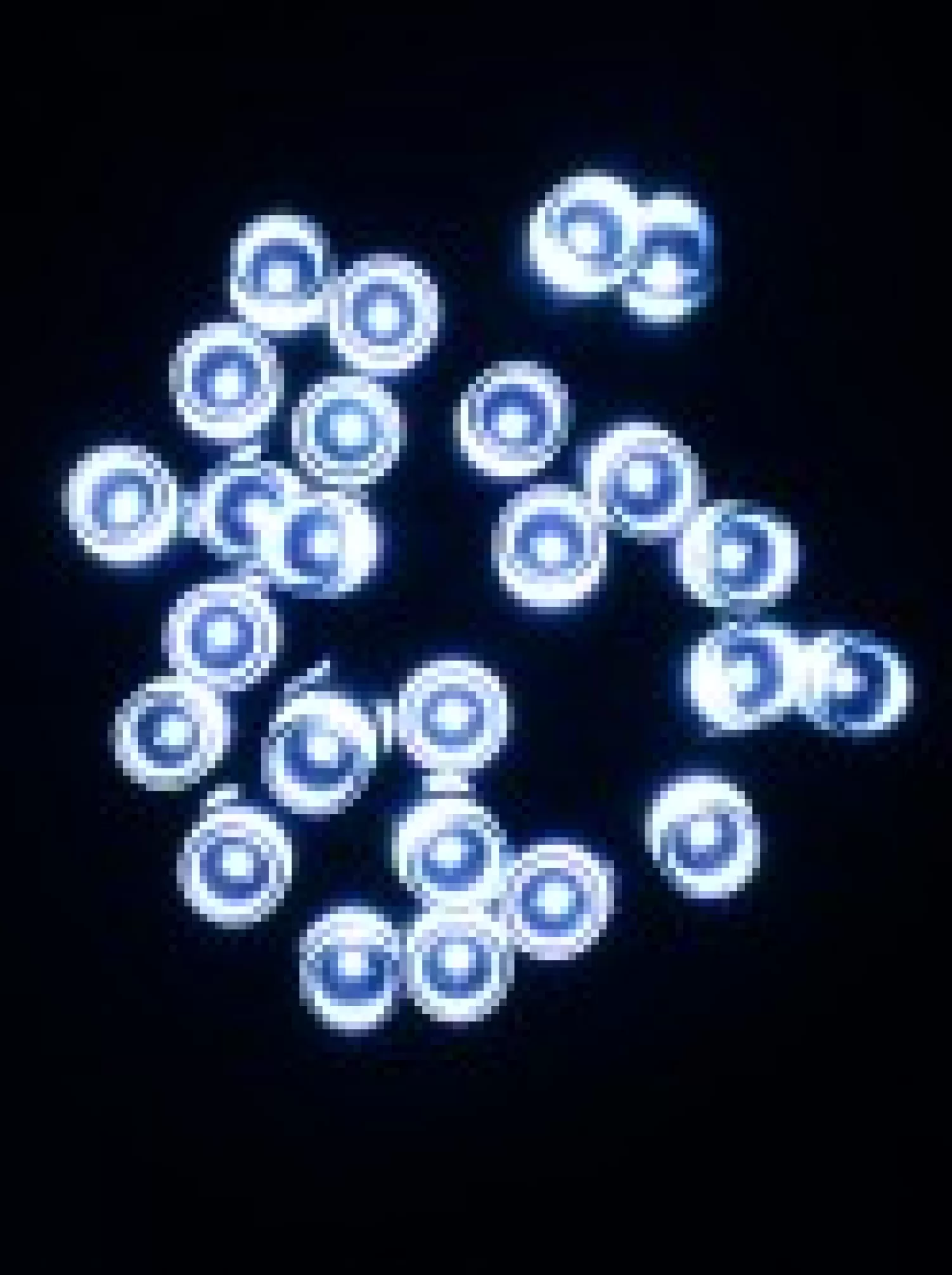 Christmas Warehouse 1000 Cool White Concave Bulb Led Christmas Fairy String Lights - 50M> Led Fairy Lights