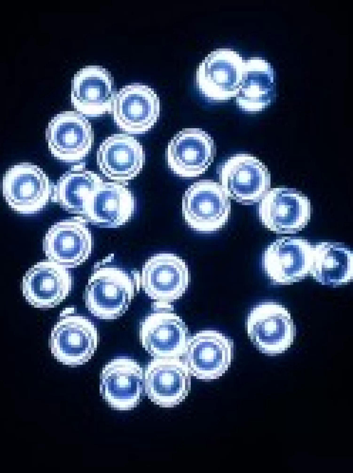 Christmas Warehouse 1000 Cool White Led Concave Bulb Wifi Christmas Fairy String Lights - 50M> Led Fairy Lights