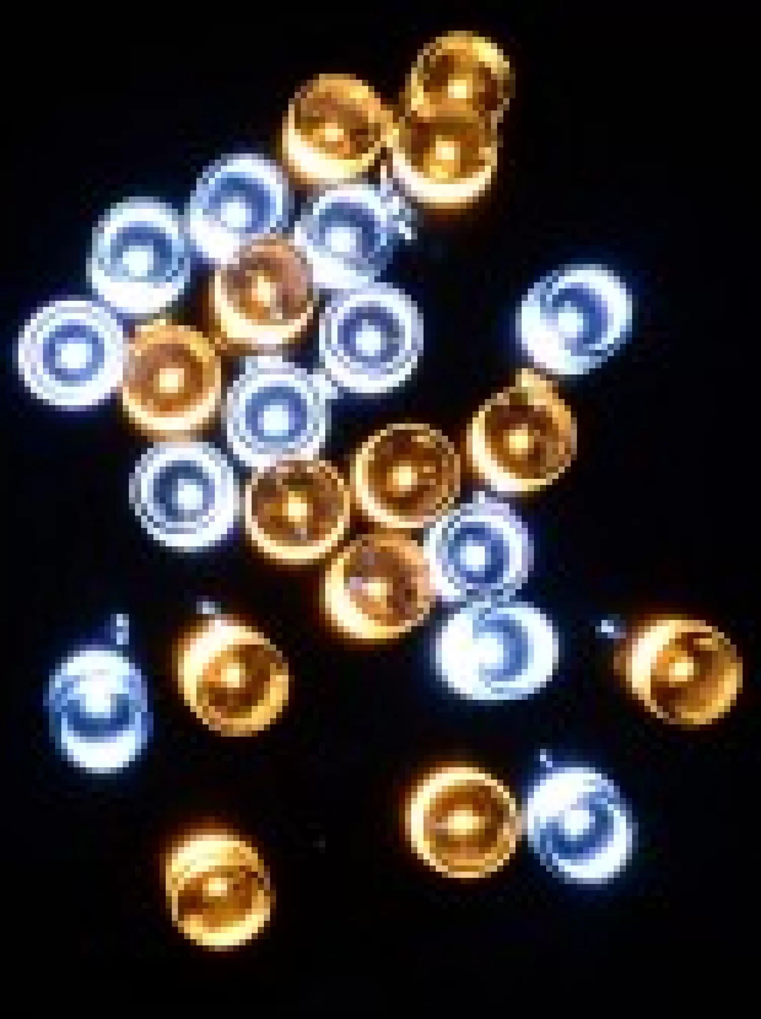 Christmas Warehouse 1000 Warm & Cool White Led Concave Bulb Christmas Fairy String Lights - 50M> Led Fairy Lights