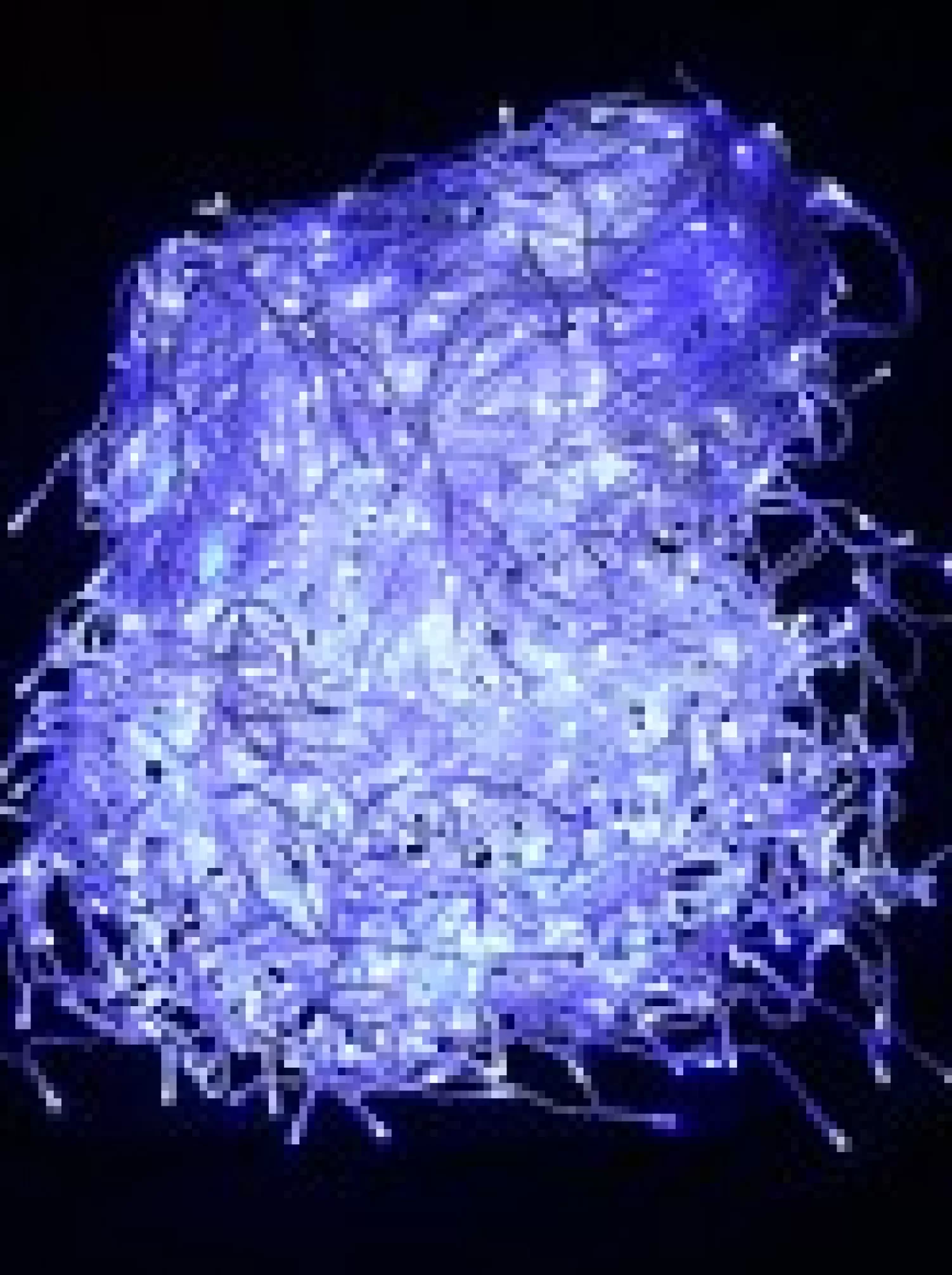 Christmas Warehouse 1008 Blue & Cool White Concave Bulb Led Christmas Icicle String Light - 30M> Icicle Lights