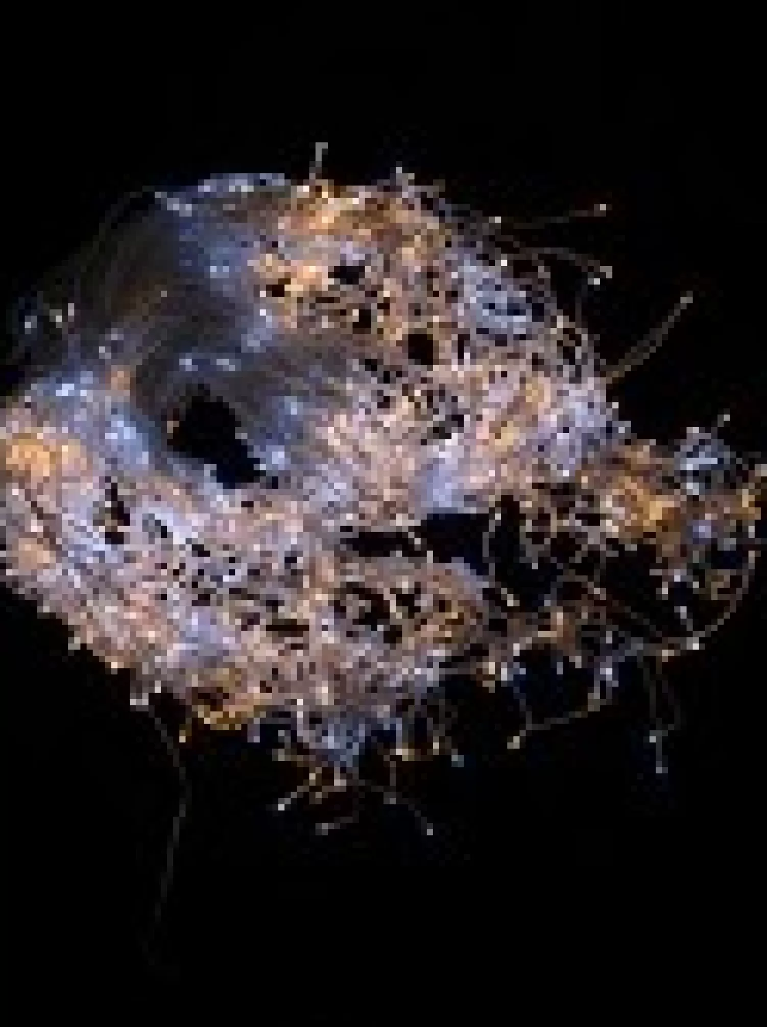 Christmas Warehouse 1008 Warm & Cool White Concave Bulb Led Christmas Icicle String Light - 30M> Icicle Lights