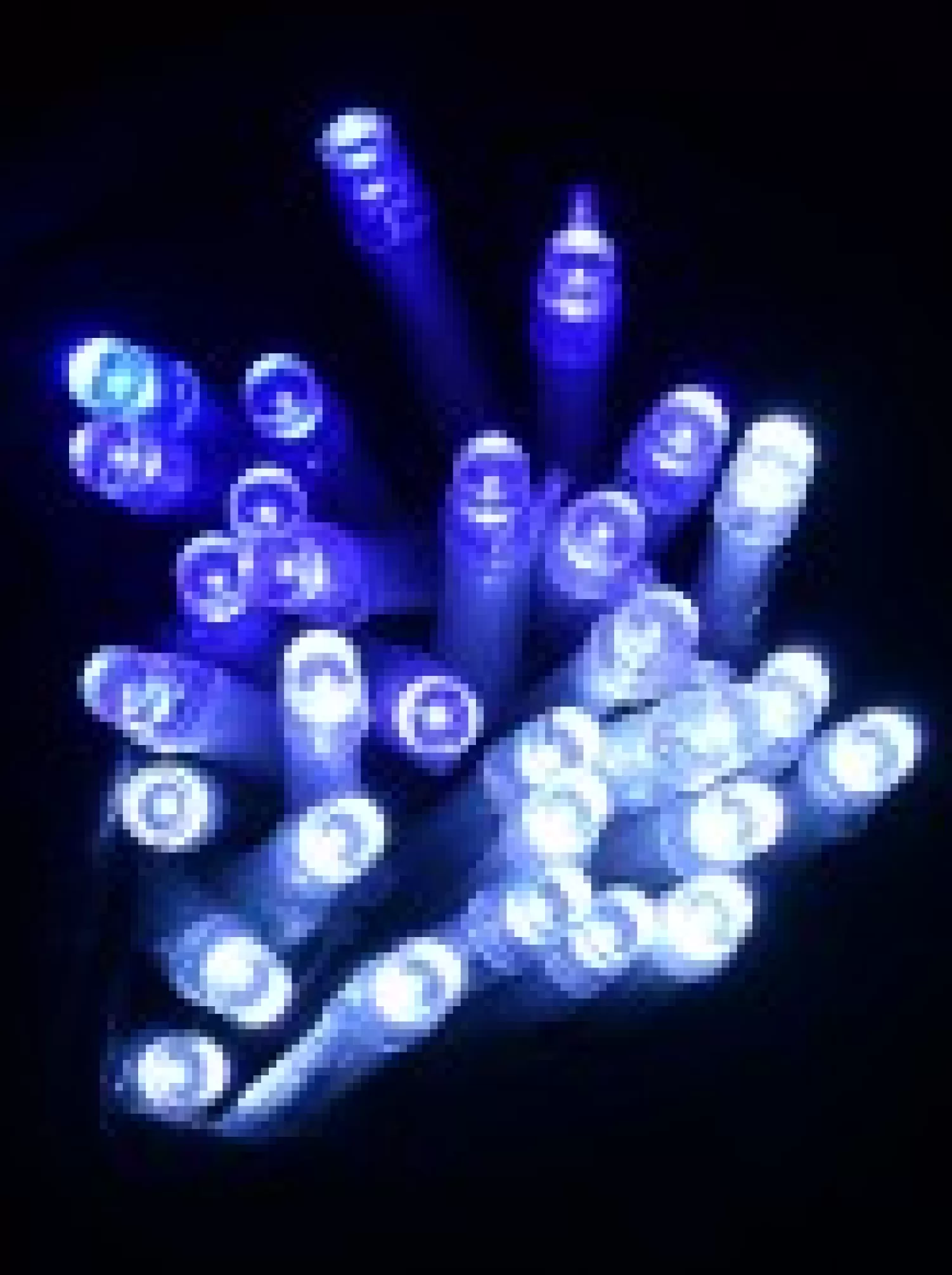 Christmas Warehouse 180 Blue & Cool White Led Concave Bulb Christmas Net Light - 1.8M X 1.8M> Net Lights