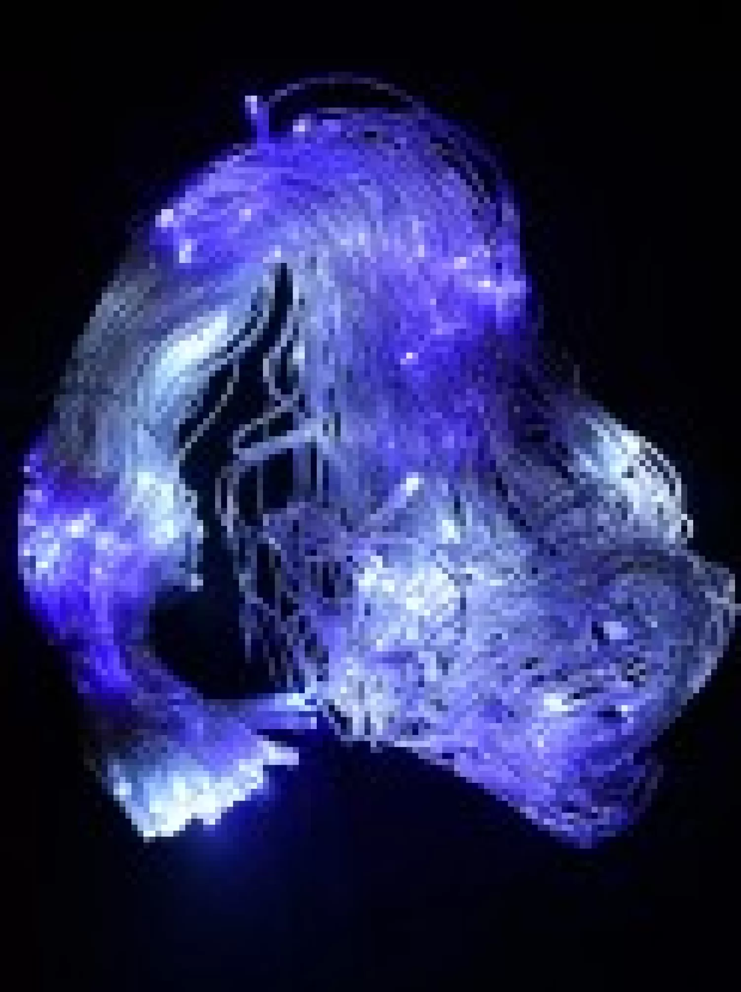 Christmas Warehouse 180 Blue & Cool White Led Concave Bulb Christmas Net Light - 1.8M X 1.8M> Net Lights