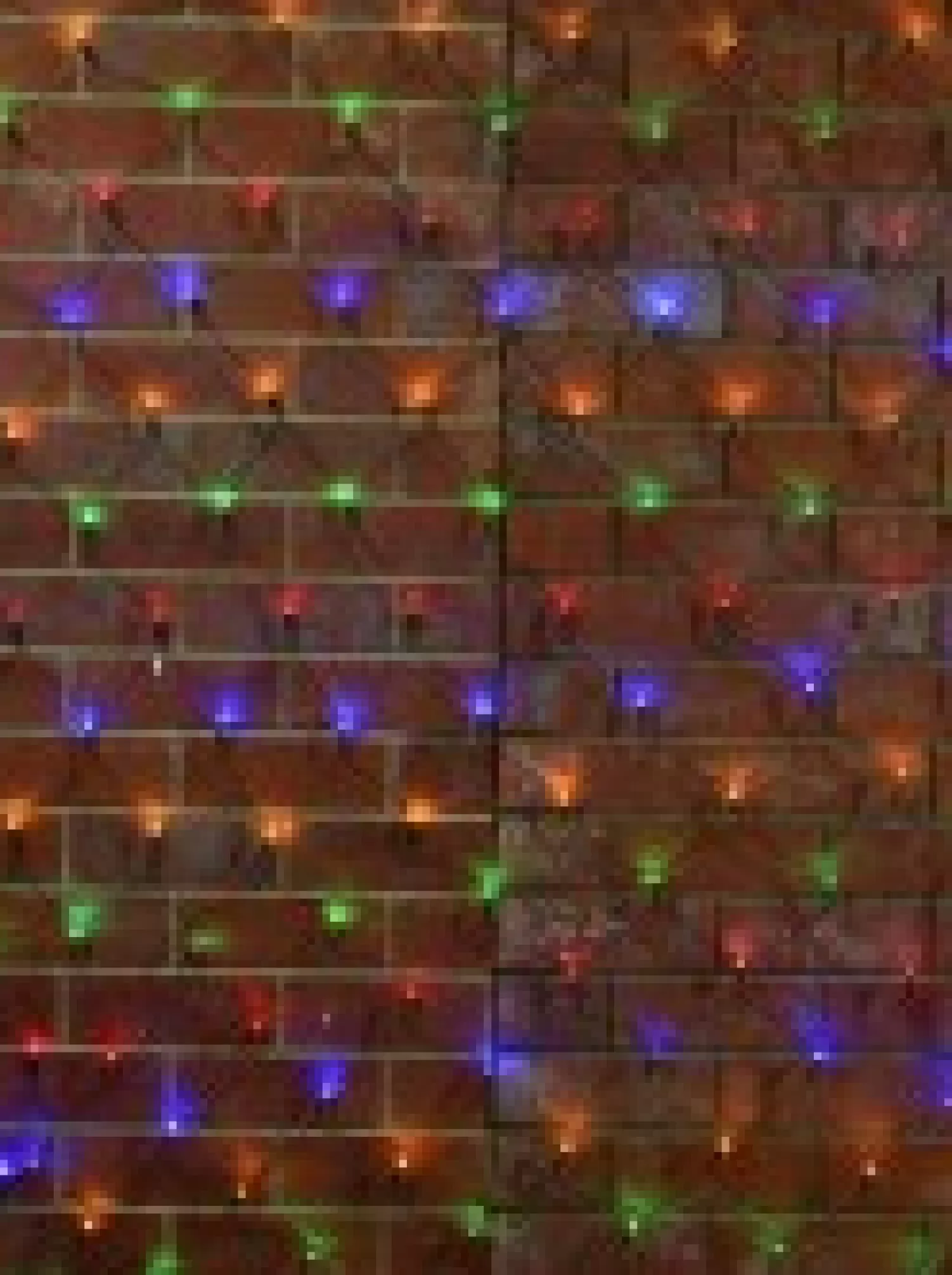 Christmas Warehouse 180 Multi Colour Led Concave Bulb Christmas Net Light - 1.8M X 1.8M> Net Lights