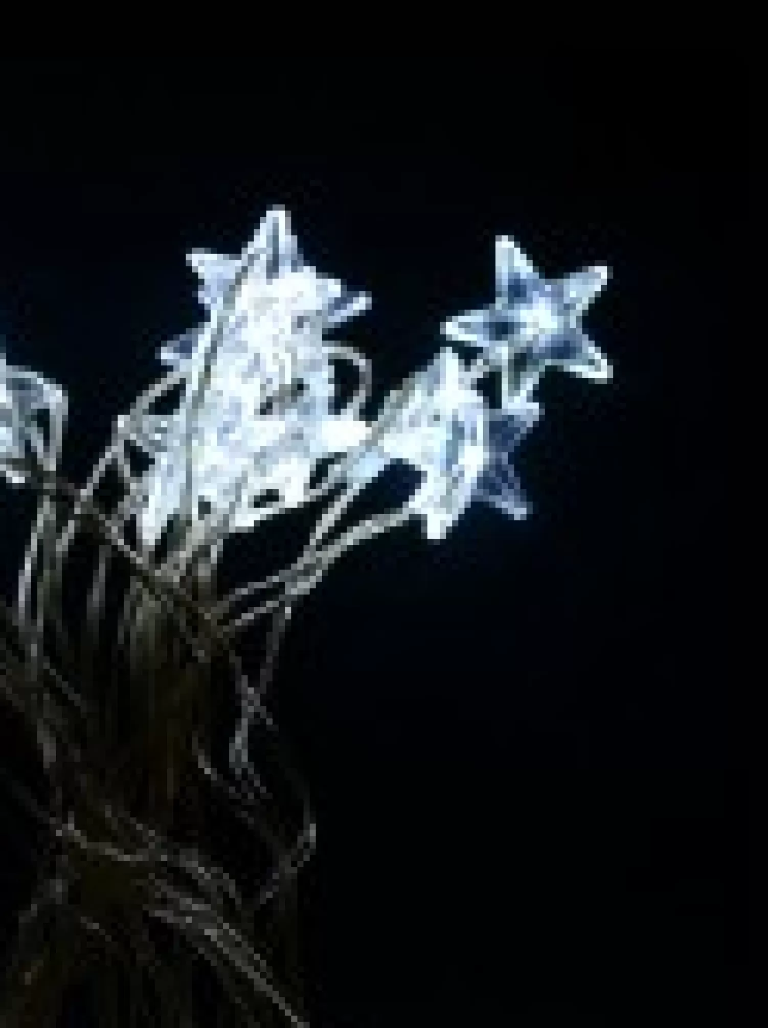 Christmas Warehouse 20 Stars With Cool White Led Bulb Christmas String Battery Lights - 2M> Battery Operated Lights