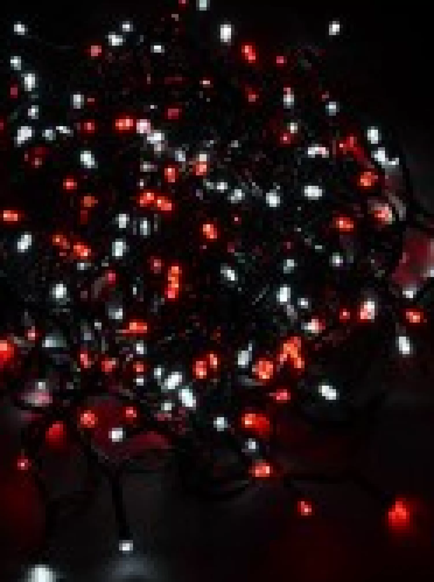 Christmas Warehouse 300 Red & Cool White Led Concave Bulb Christmas Fairy String Lights - 15M> Led Fairy Lights