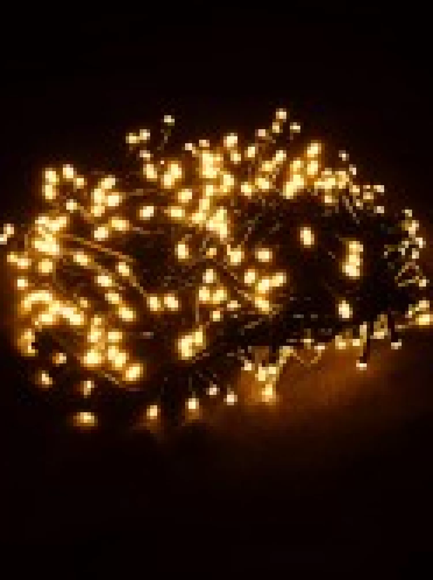Christmas Warehouse 300 Warm White Led Concave Bulb Wifi Christmas String Lights - 15M> Led Fairy Lights