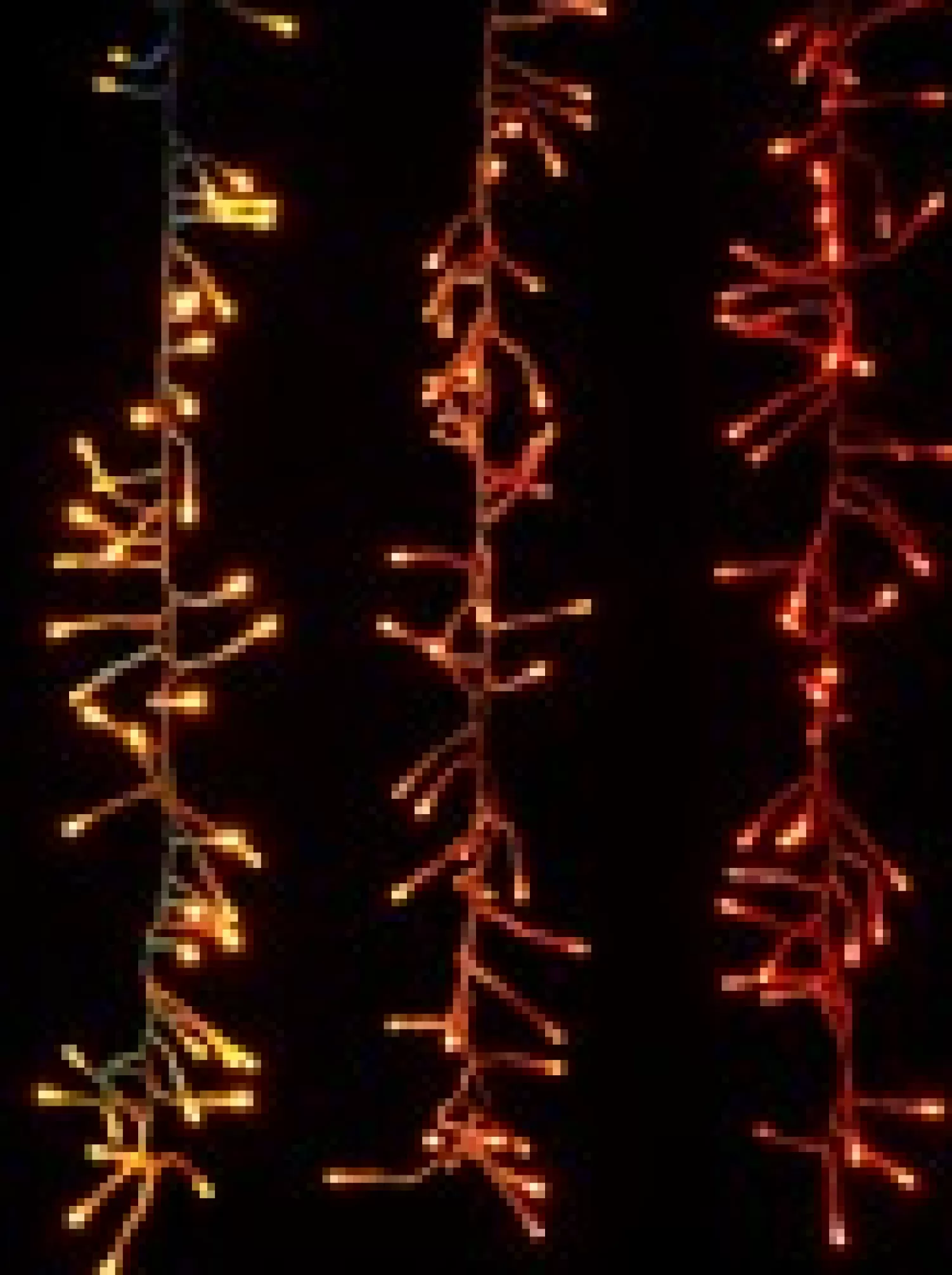 Christmas Warehouse 336 Multi Colour Led Concave Bulb Firecracker Cluster Icicle Light - 90Cm> Icicle Lights
