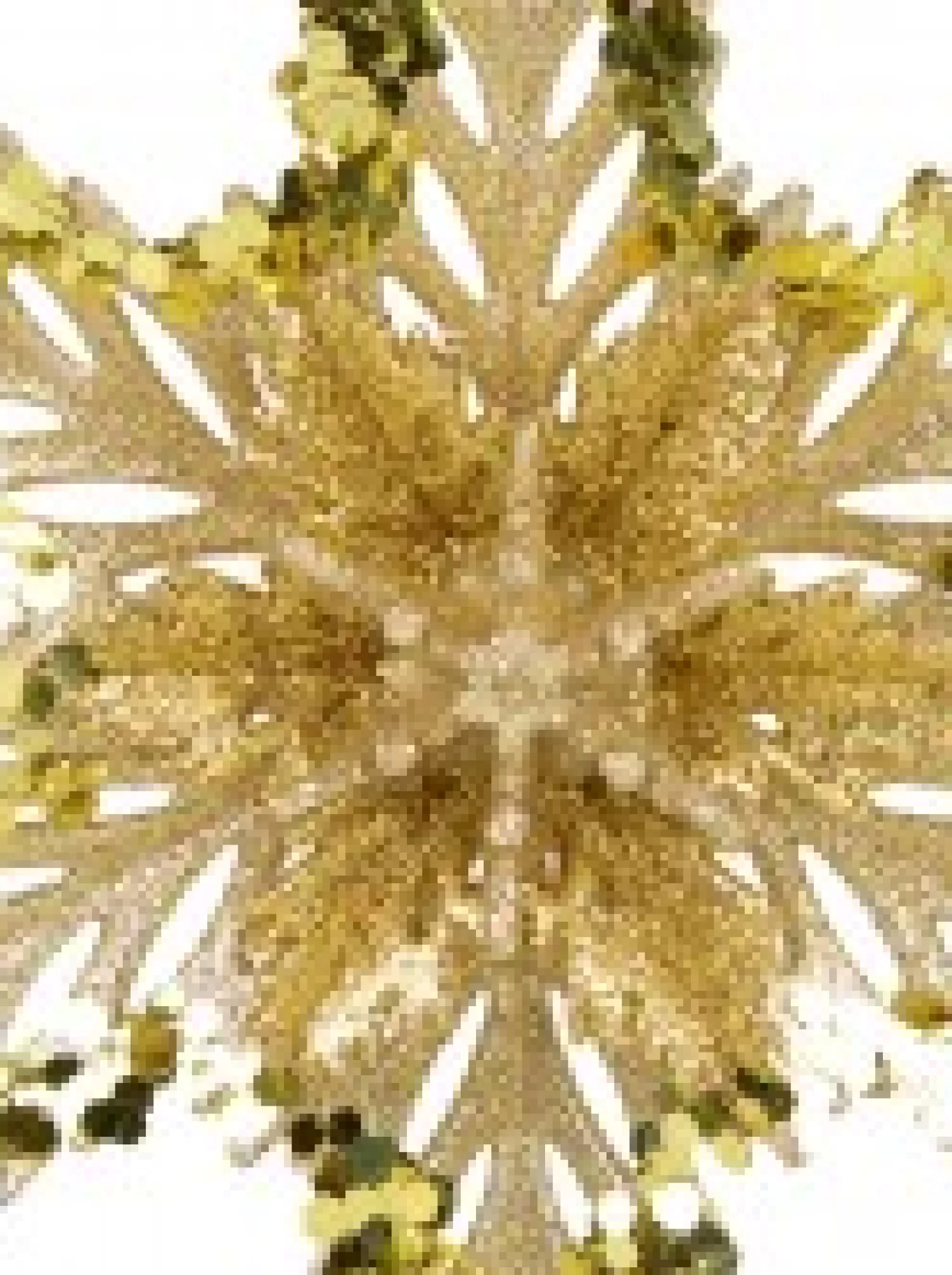 Christmas Warehouse 3D Gold Snowflake With Sequins Christmas Tree Hanging Decoration - 15Cm> Hanging Decorations - Individual