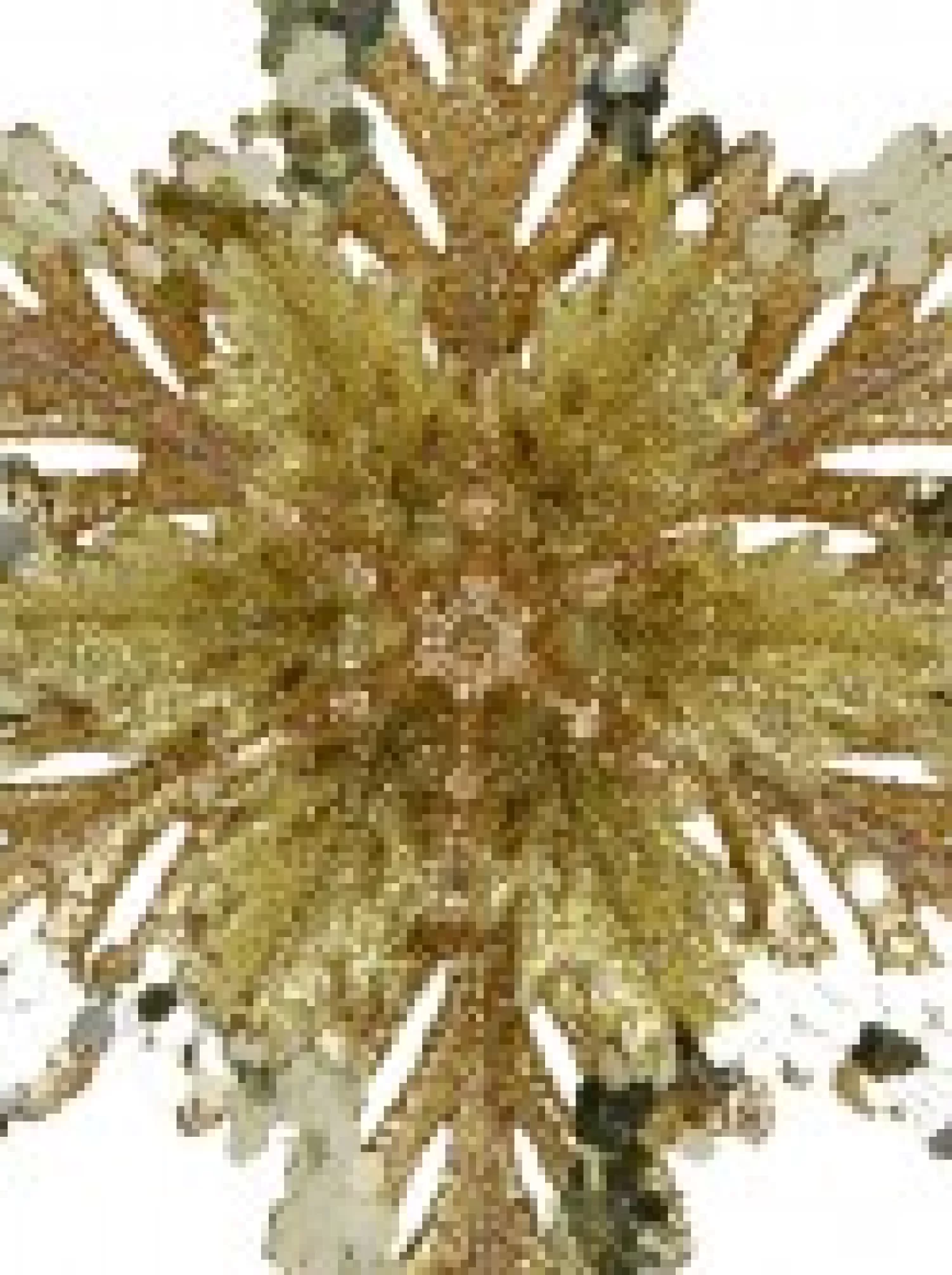 Christmas Warehouse 3D Gold Snowflake With Sequins Christmas Tree Hanging Decoration - 15Cm> Hanging Decorations - Individual