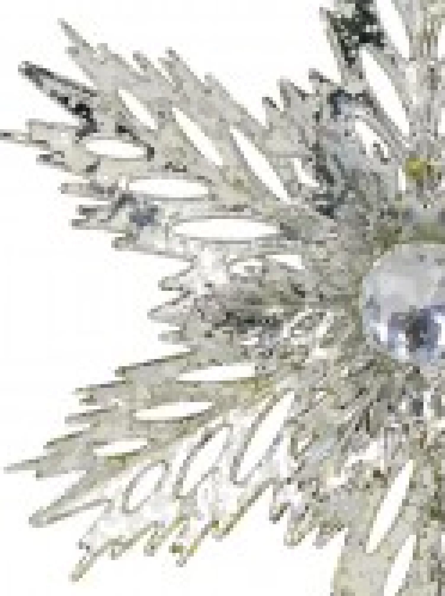 Christmas Warehouse 3D Silver Snowflake With Sequins Christmas Tree Hanging Decoration - 15Cm> Hanging Decorations - Individual