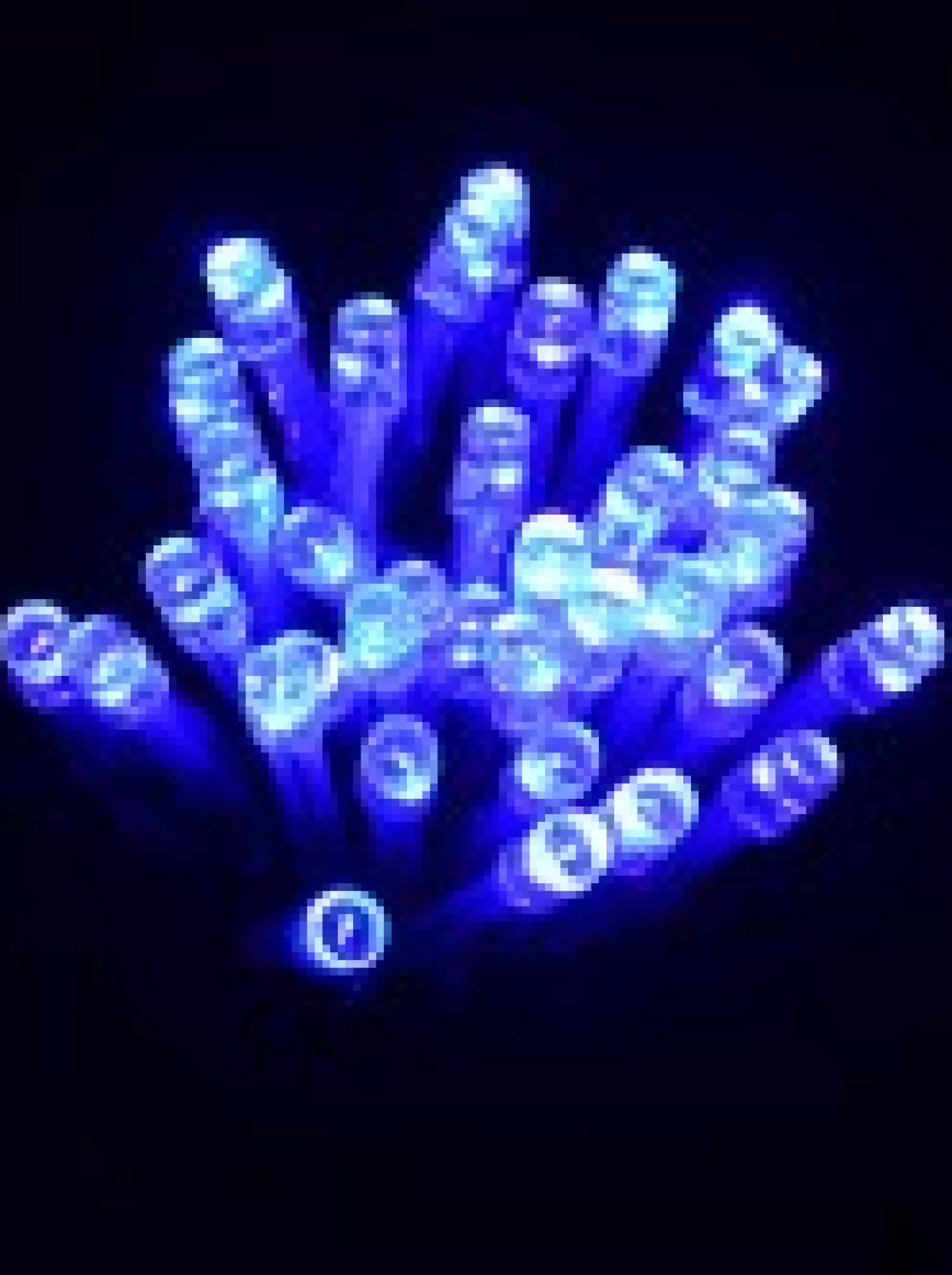 Christmas Warehouse 400 Blue & Cool White Concave Bulb Led Christmas Curtain Light String - 2.5M> Curtain Lights