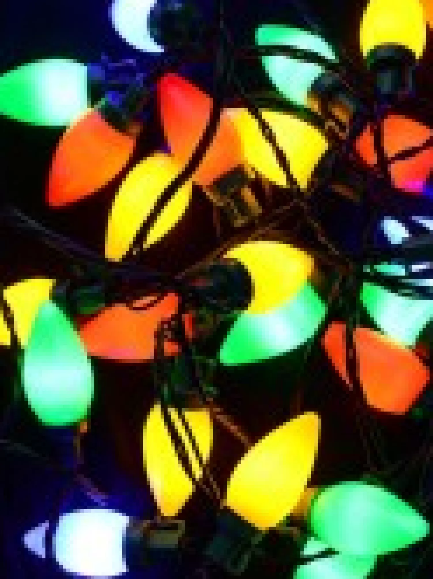 Christmas Warehouse 40 Multi Colour Led C7 Bulb Christmas Fairy String Lights - 3.9M> Led Fairy Lights
