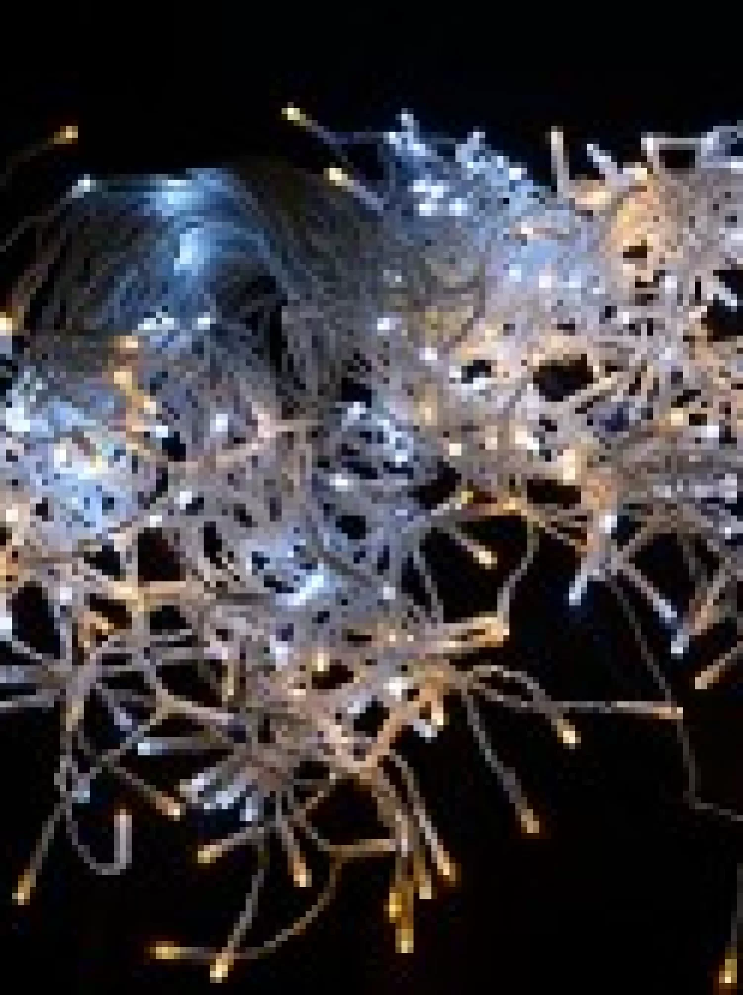 Christmas Warehouse 420 Warm & Cool White Concave Bulb Led Christmas Icicle String Light - 10M> Icicle Lights