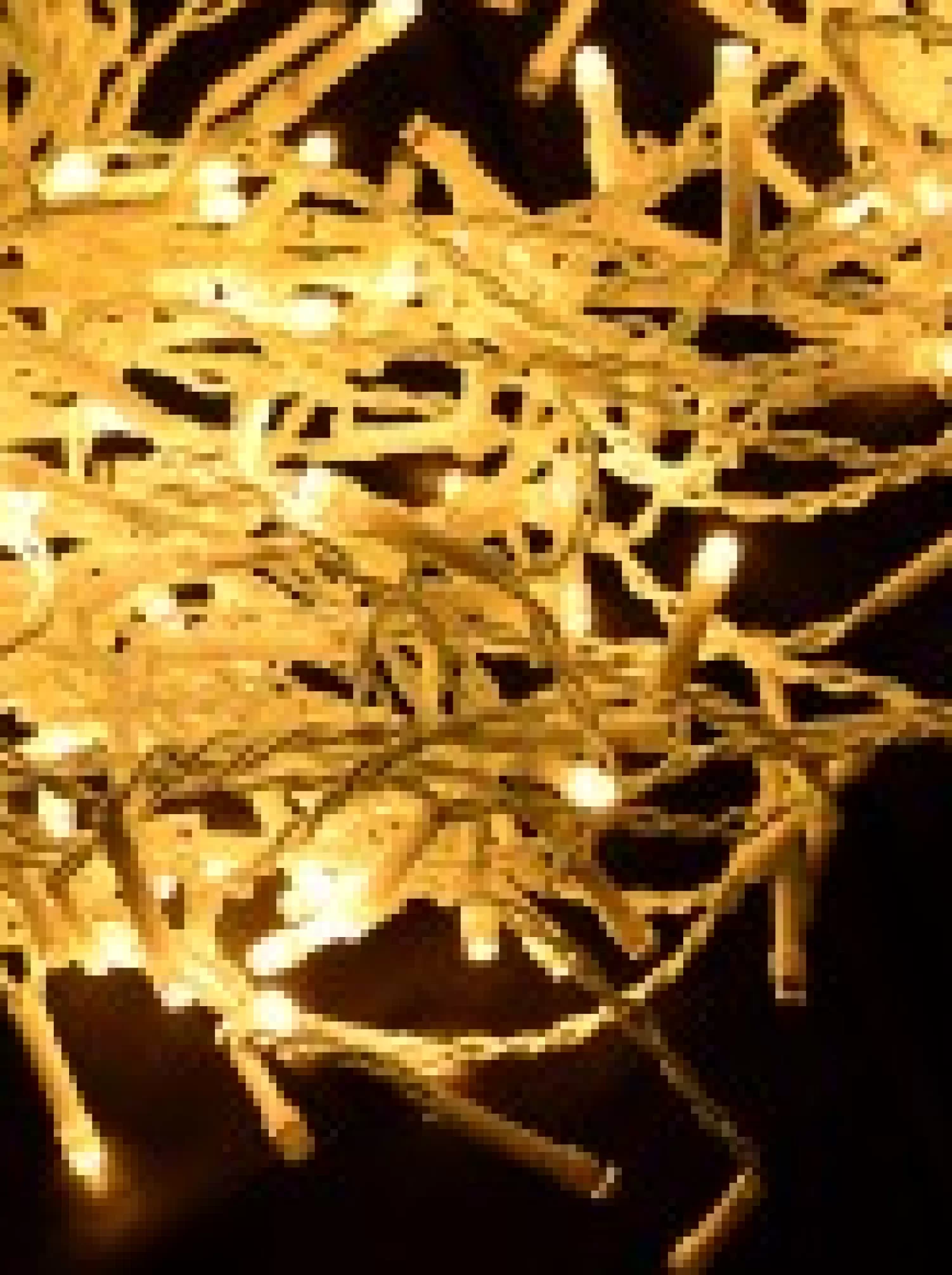 Christmas Warehouse 420 Warm White Concave Bulb Led Christmas Icicle String Light - 10M> Icicle Lights