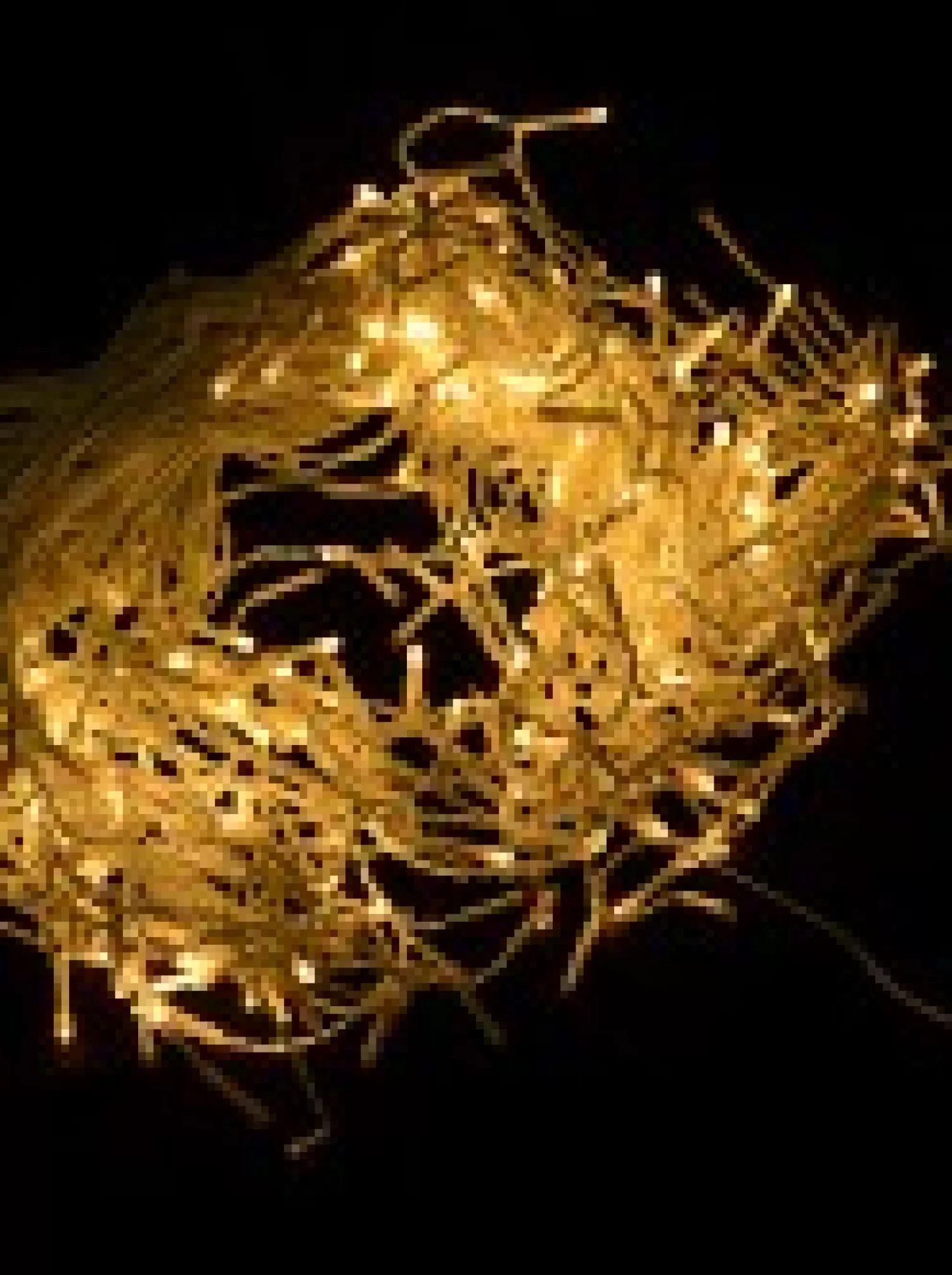 Christmas Warehouse 420 Warm White Concave Bulb Led Christmas Icicle String Light - 10M> Icicle Lights