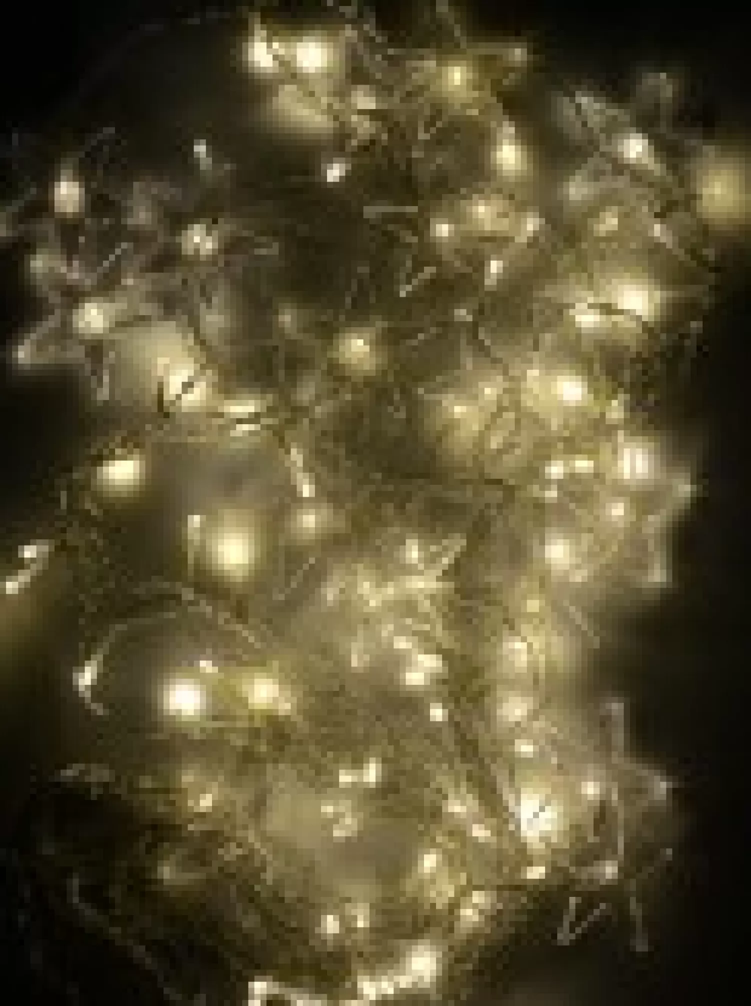 Christmas Warehouse 98 Warm White Led Concave Bulb With Star Ends V - Shape Curtain Light - 1.4M> Curtain Lights