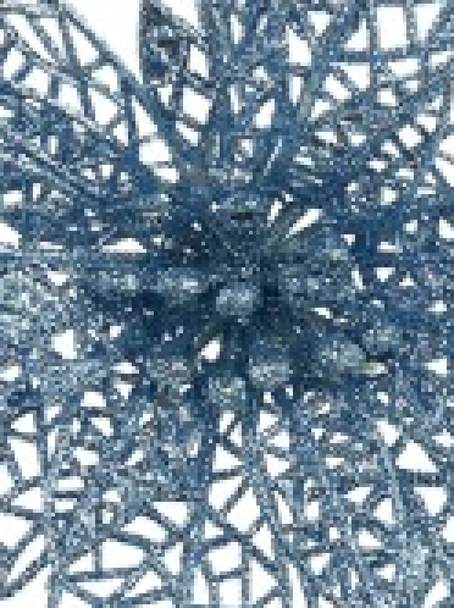 Christmas Warehouse Blue Glitter Netted Vein Leaf Poinsettia Decorative Christmas Flower Pick - 14Cm> Christmas Picks