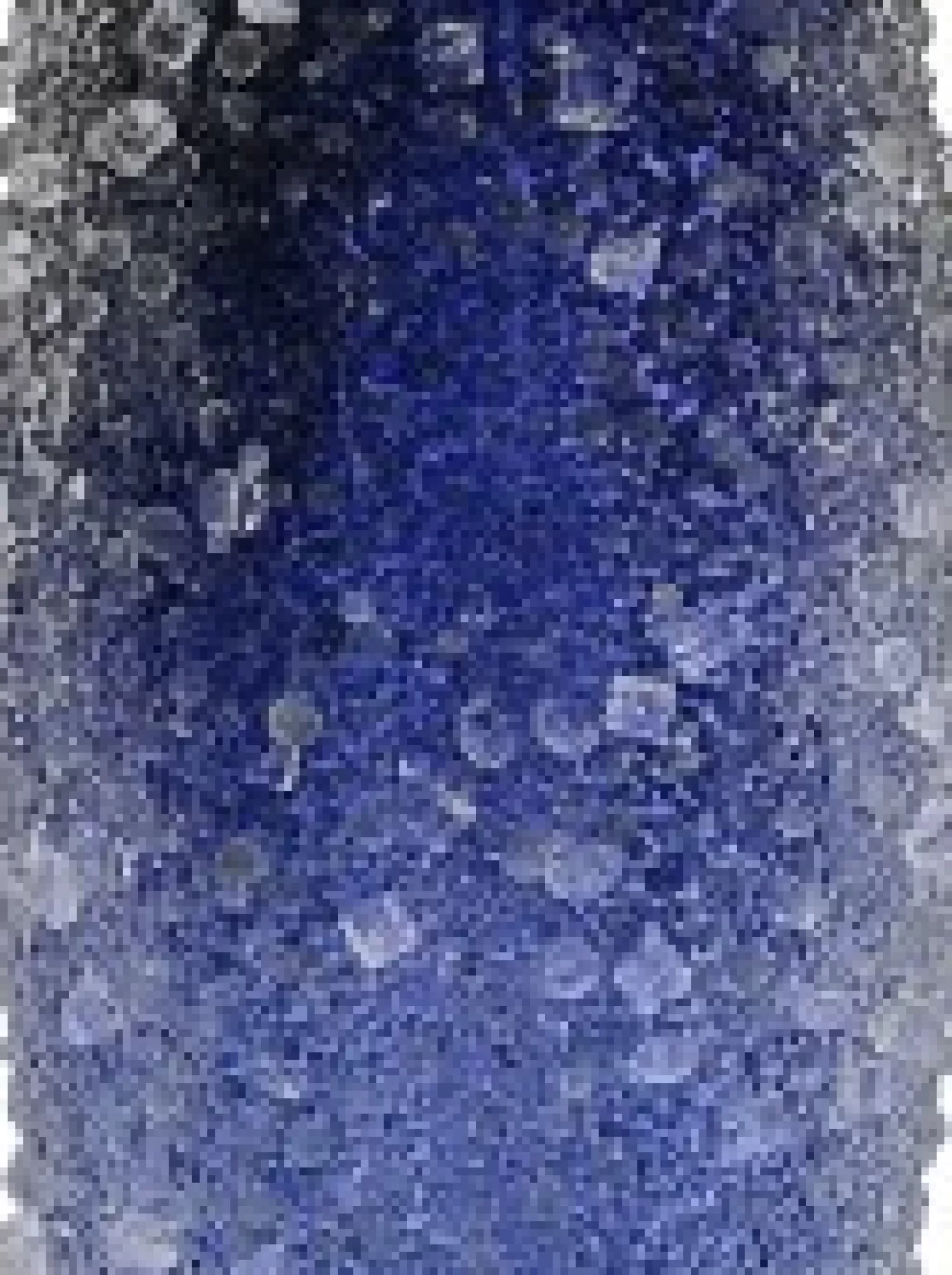 Christmas Warehouse Blue With Frost Look Pine Cone Shape Baubles Hanging Decorations - 4 X 33Cm> Hanging Decorations - Packs
