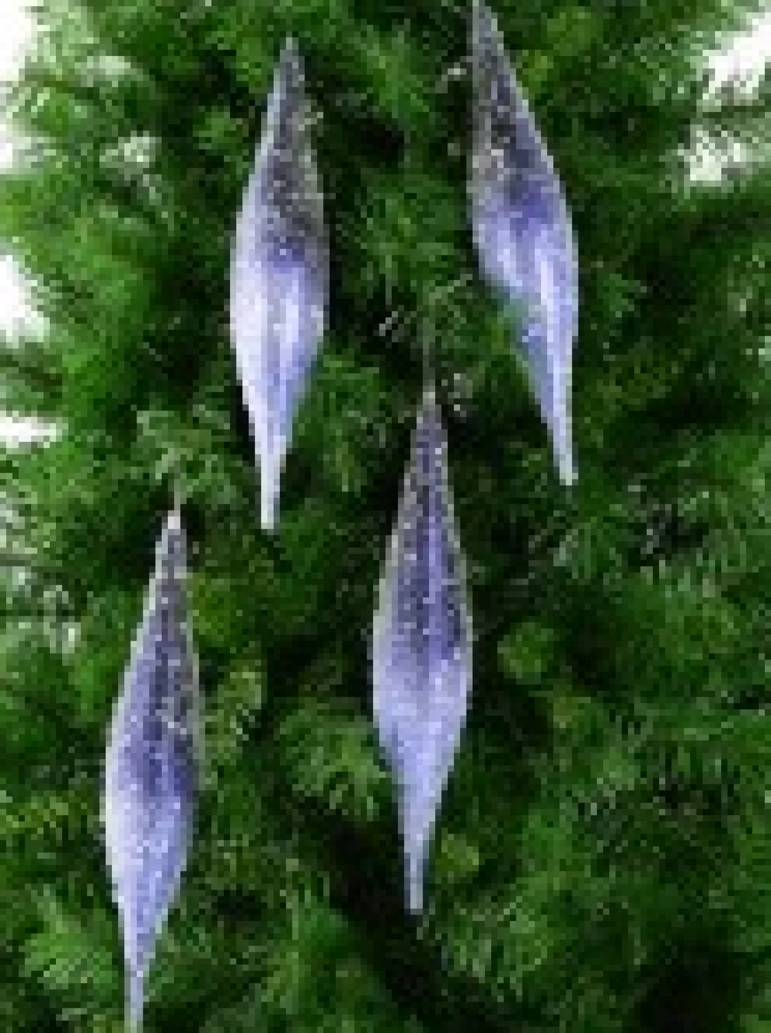 Christmas Warehouse Blue With Frost Look Pine Cone Shape Baubles Hanging Decorations - 4 X 33Cm> Hanging Decorations - Packs