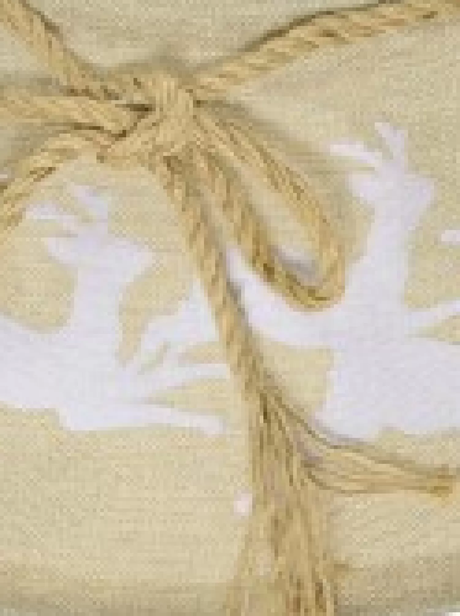 Christmas Warehouse Burlap With Reindeer Print Conical Shape Christmas Tree Skirt - 58Cm> Tree Skirts