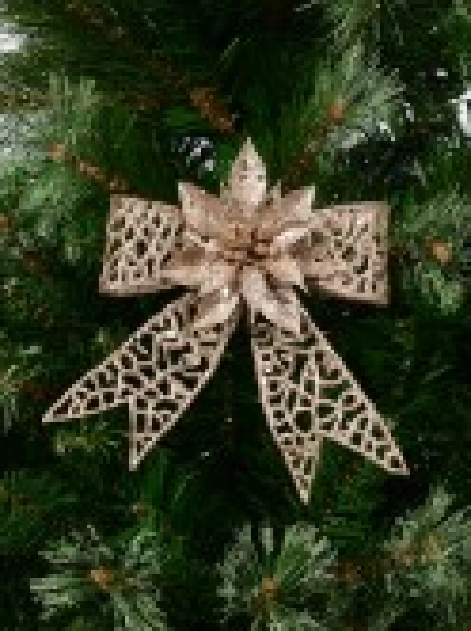 Christmas Warehouse Champagne Mesh Look Ribbon Bow & Poinsettia Christmas Decoration - 15Cm> Christmas Bows