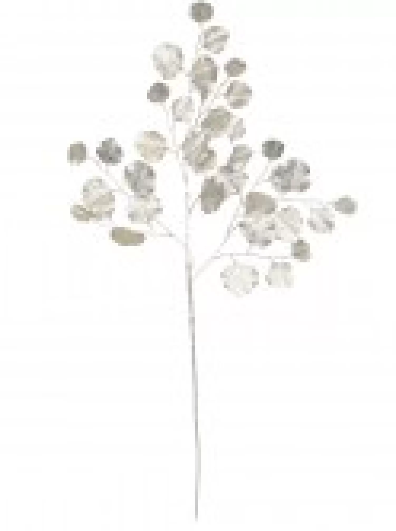 Christmas Warehouse Champagne Wide Leaf Magnolia Look Decorative Christmas Spray Stem - 86Cm> Christmas Stems