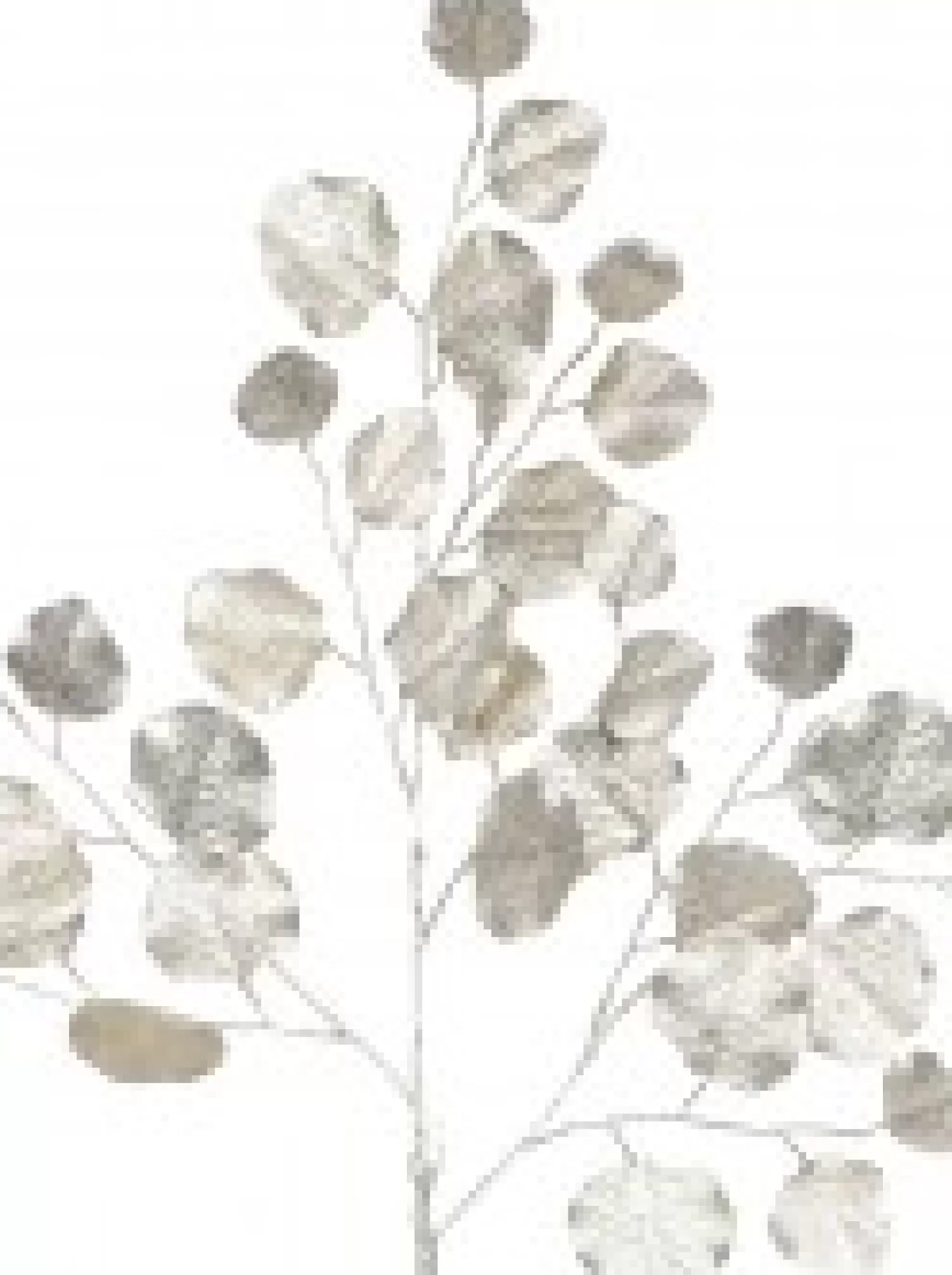 Christmas Warehouse Champagne Wide Leaf Magnolia Look Decorative Christmas Spray Stem - 86Cm> Christmas Stems