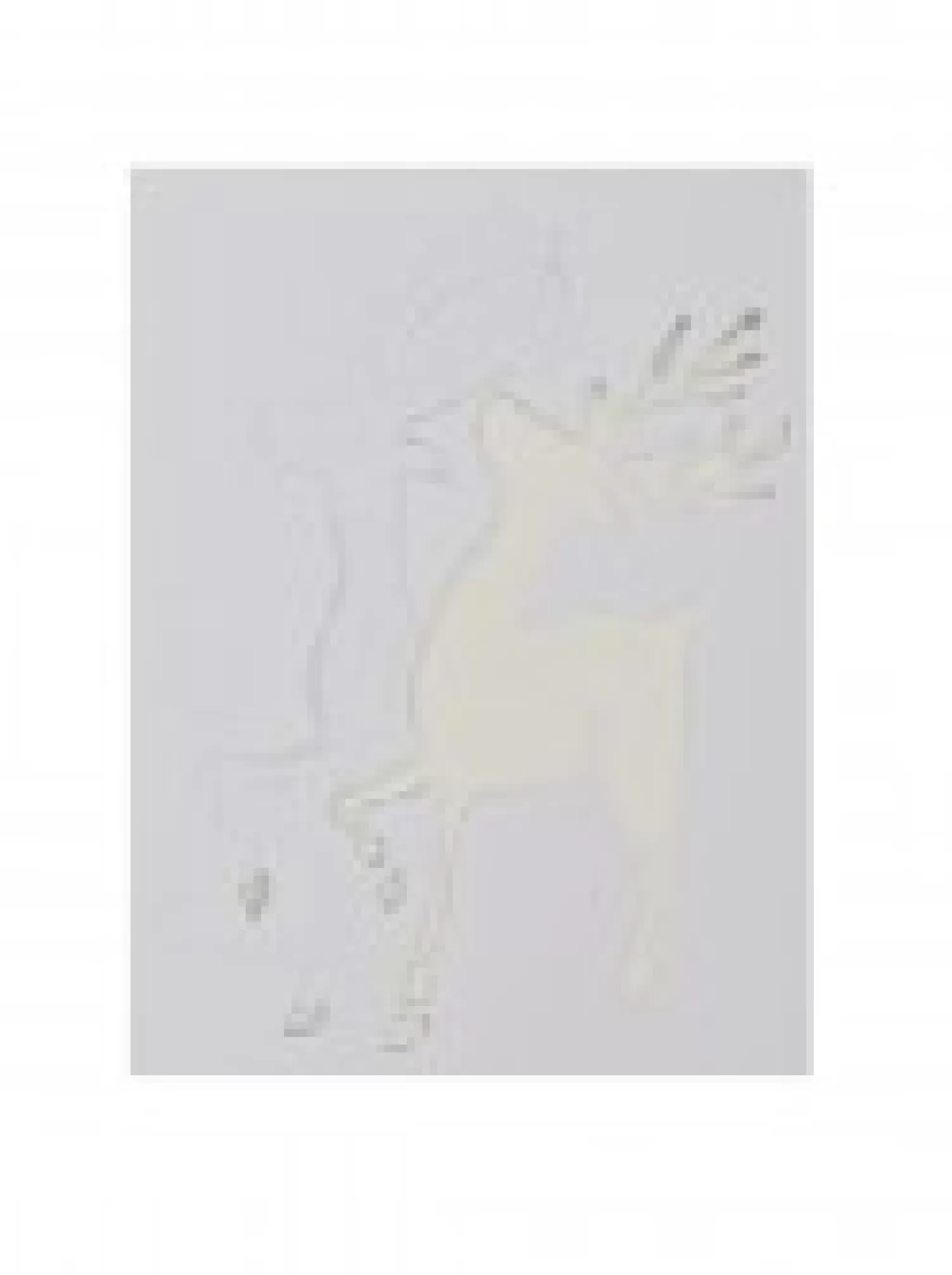 Christmas Warehouse Christmas Themes Reusable Spray Snow Stencil Christmas Decorations - 24Cm> Window Decals, Stencils & Stickers