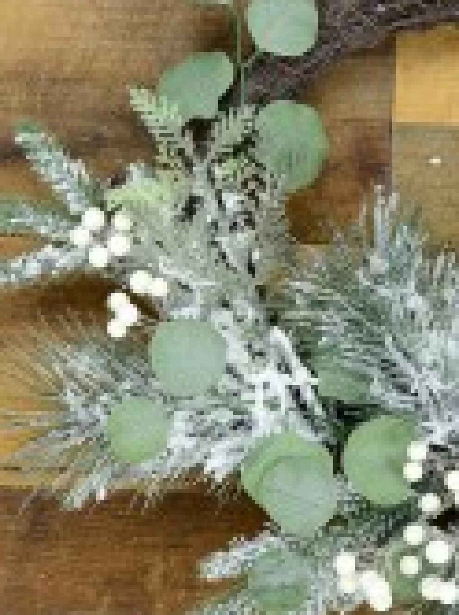 Christmas Warehouse Decorated Wire Spun Winter Wreath With Mixed Flocked Foliage - 50Cm> Christmas Wreaths