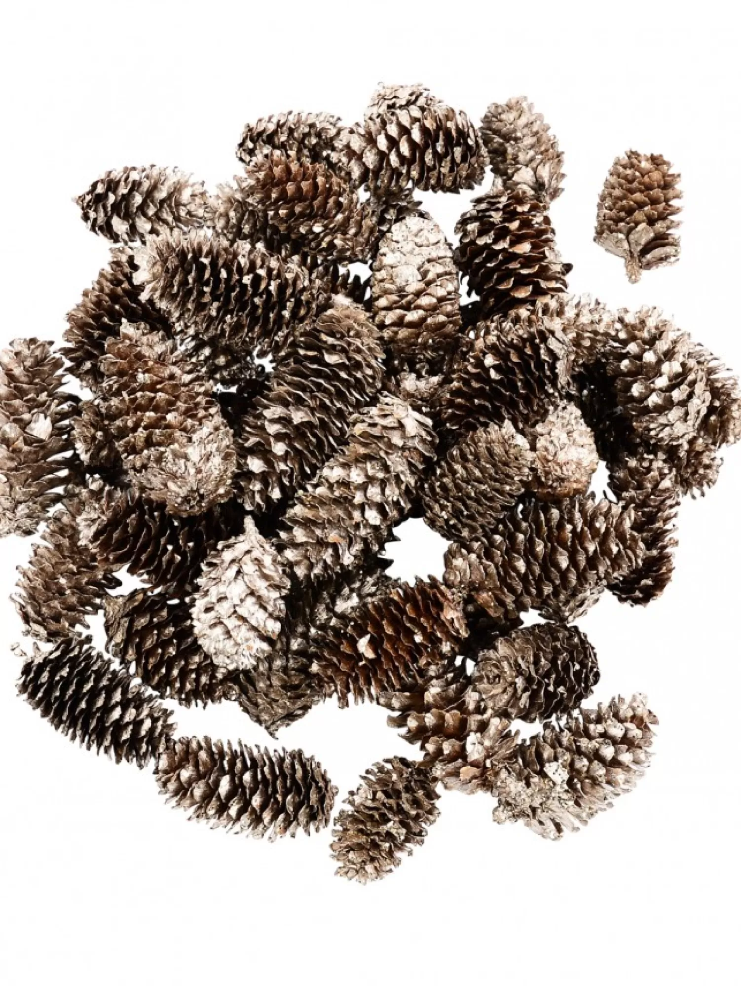 Christmas Warehouse Decorative Gold & Champagne Glittered Natural Christmas Pine Cones - 100G> Natural Christmas Decorations