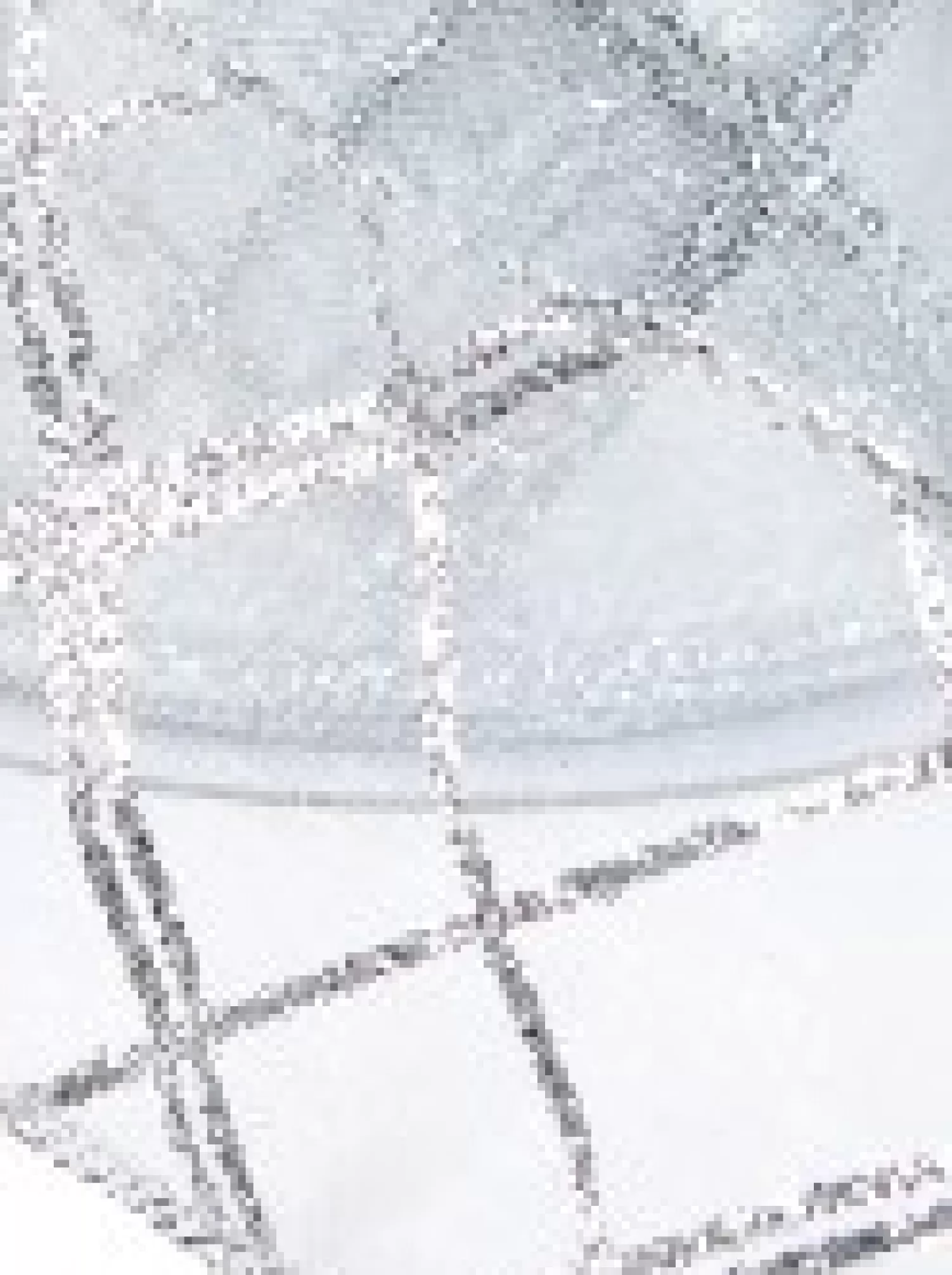 Christmas Warehouse Diagonal Lines Pattern On Sheer Christmas Ribbon With Silver Edging - 3M> Christmas Ribbon