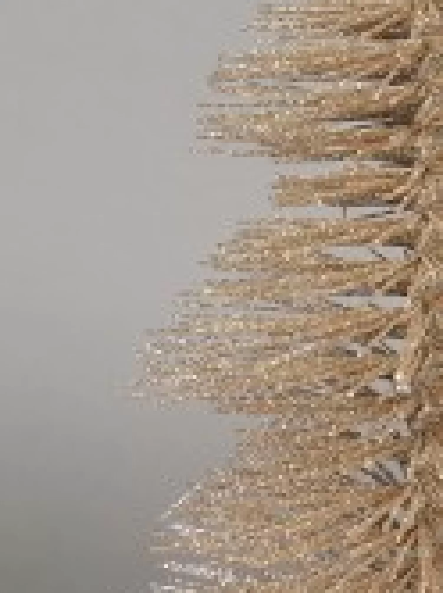 Christmas Warehouse Glittered Champagne Spiral Pine Needle Christmas Table Top Tree - 20Cm> Table Top Christmas Trees