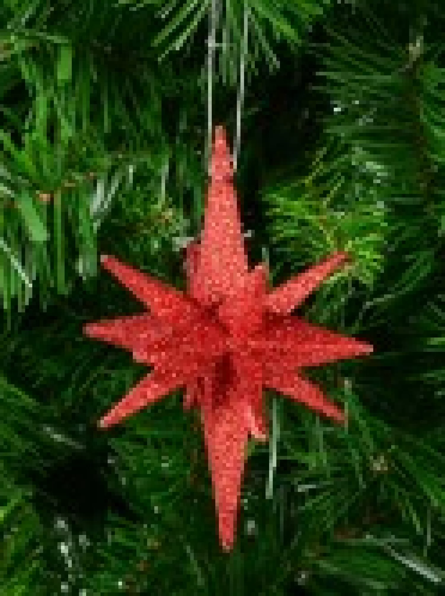 Christmas Warehouse Glittered Red 3D Star Of Bethlehem Christmas Tree Hanging Decoration - 14Cm> Hanging Decorations - Individual