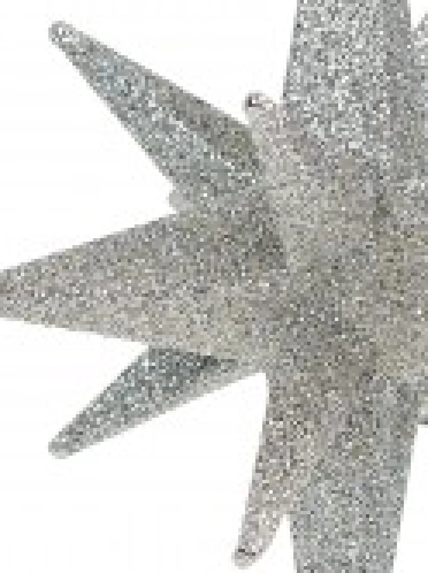 Christmas Warehouse Glittered Silver 3D Star Of Bethlehem Christmas Tree Hanging Decoration - 14Cm> Hanging Decorations - Individual