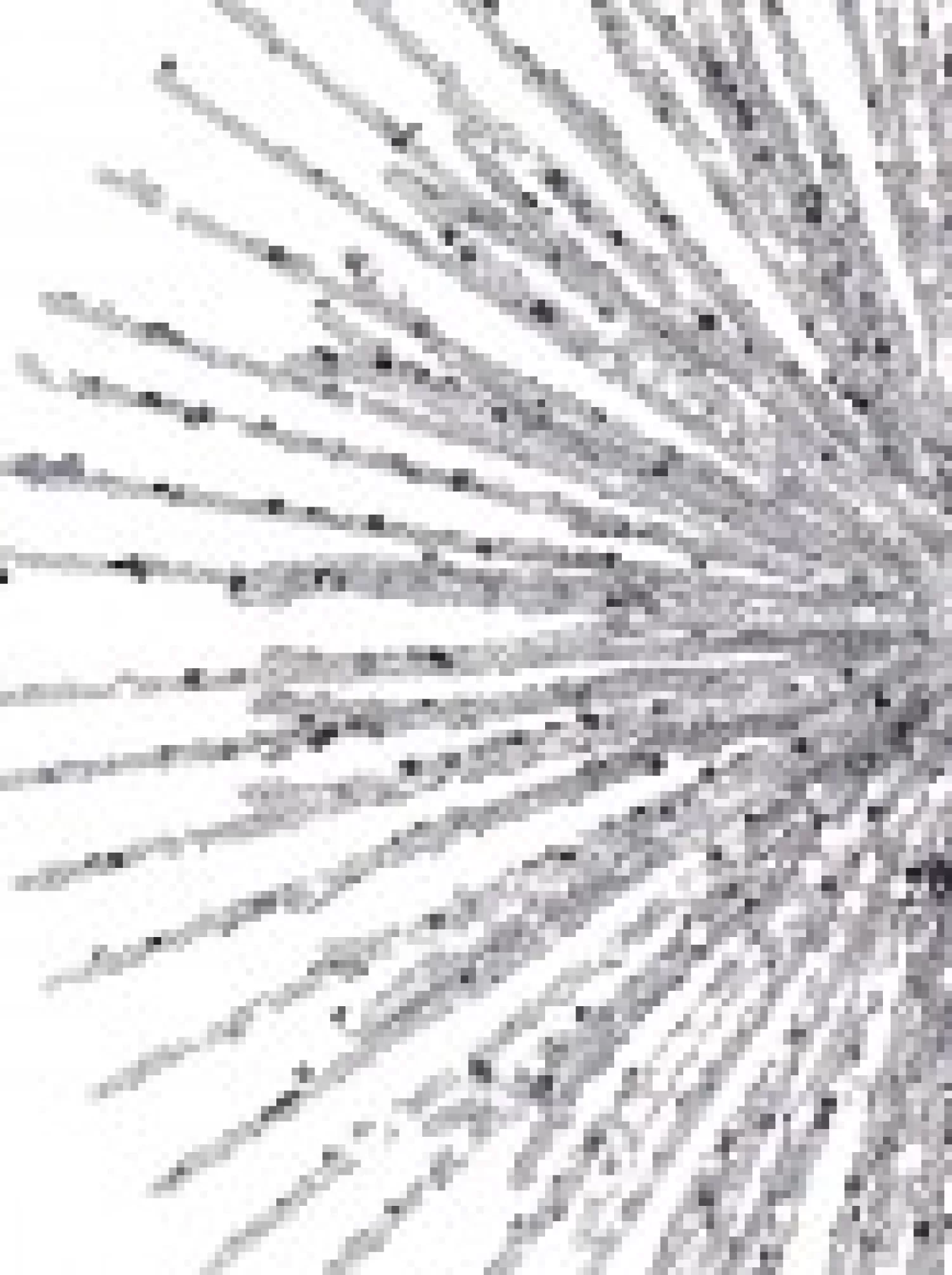 Christmas Warehouse Glittered Silver Starburst Christmas Tree Topper Decoration - 38Cm> Tree Top Decorations