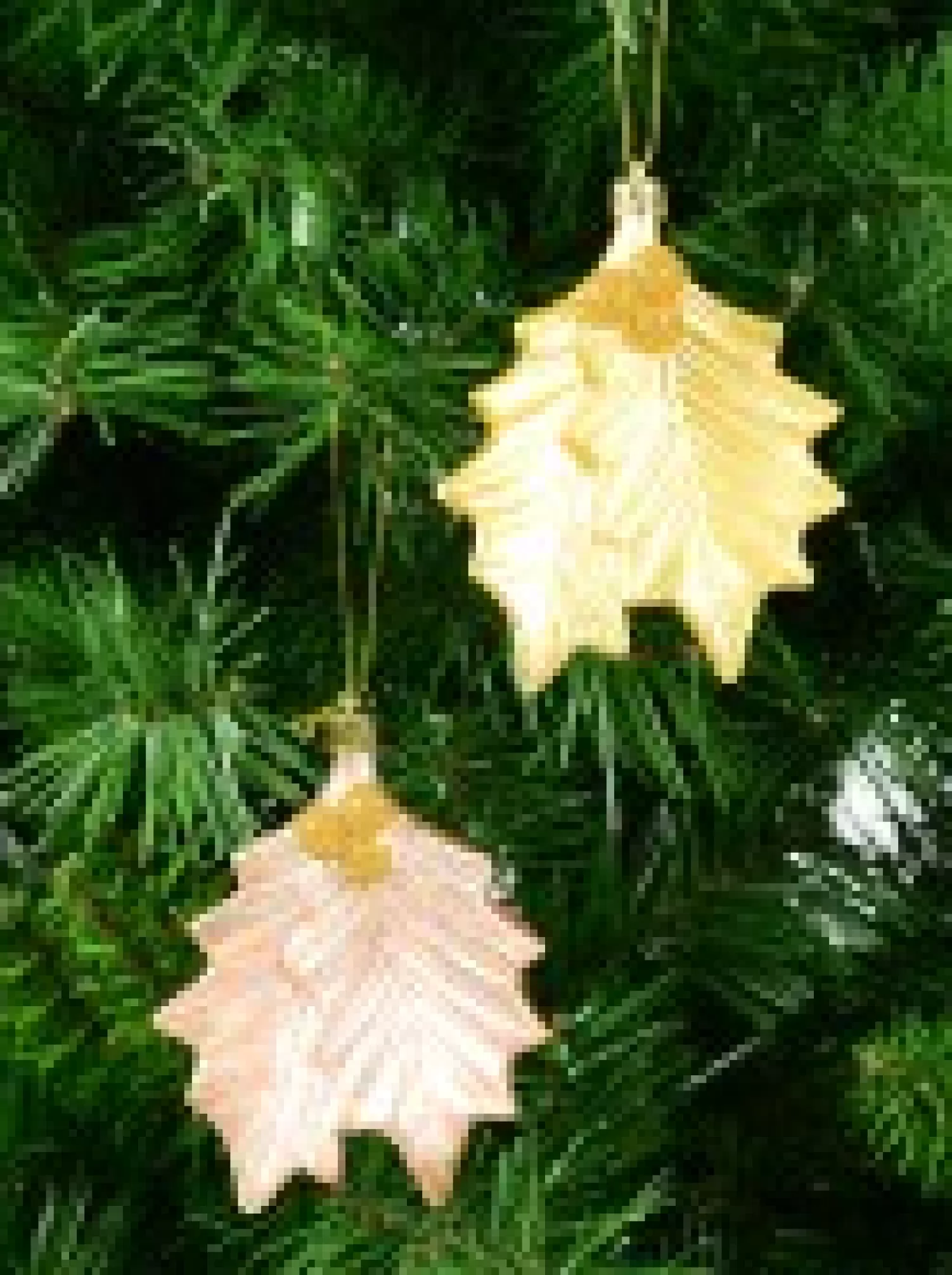 Christmas Warehouse Gold & Light Rose Gold Mistletoe Leaves Tree Hanging Decorations - 2 X 12Cm> Hanging Decorations - Packs