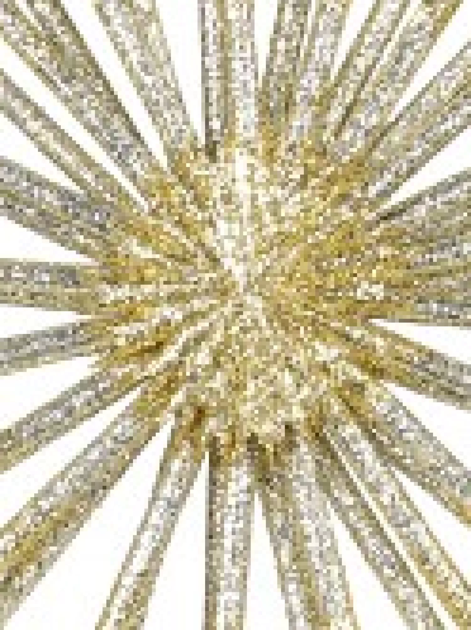 Christmas Warehouse Gold & Platinum Glittered Starburst Decorative Christmas Ornament Pick - 25Cm> Christmas Picks