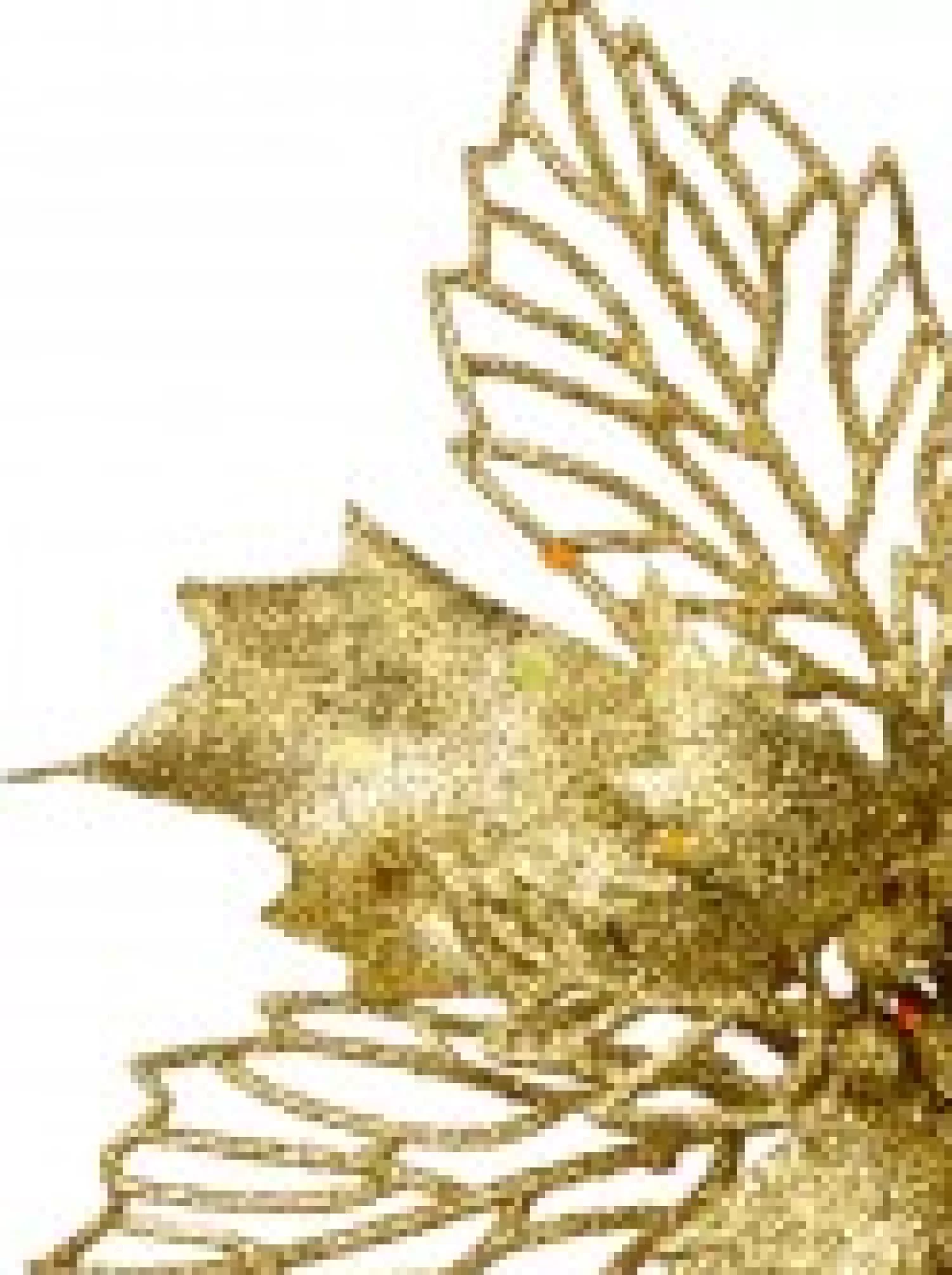 Christmas Warehouse Gold Glitter Petal & Leaf Poinsettia Decorative Christmas Flower Pick - 18Cm> Christmas Picks