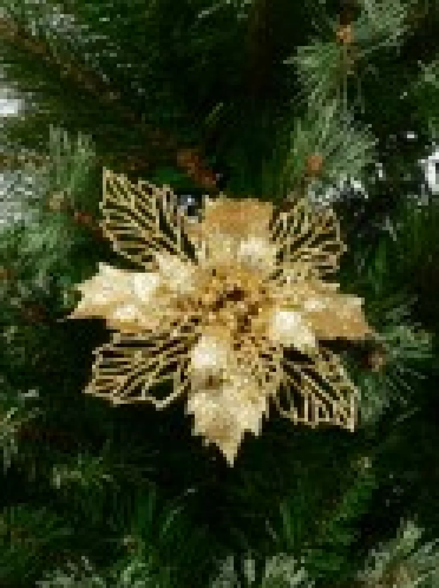 Christmas Warehouse Gold Glitter Petal & Leaf Poinsettia Decorative Christmas Flower Pick - 18Cm> Christmas Picks