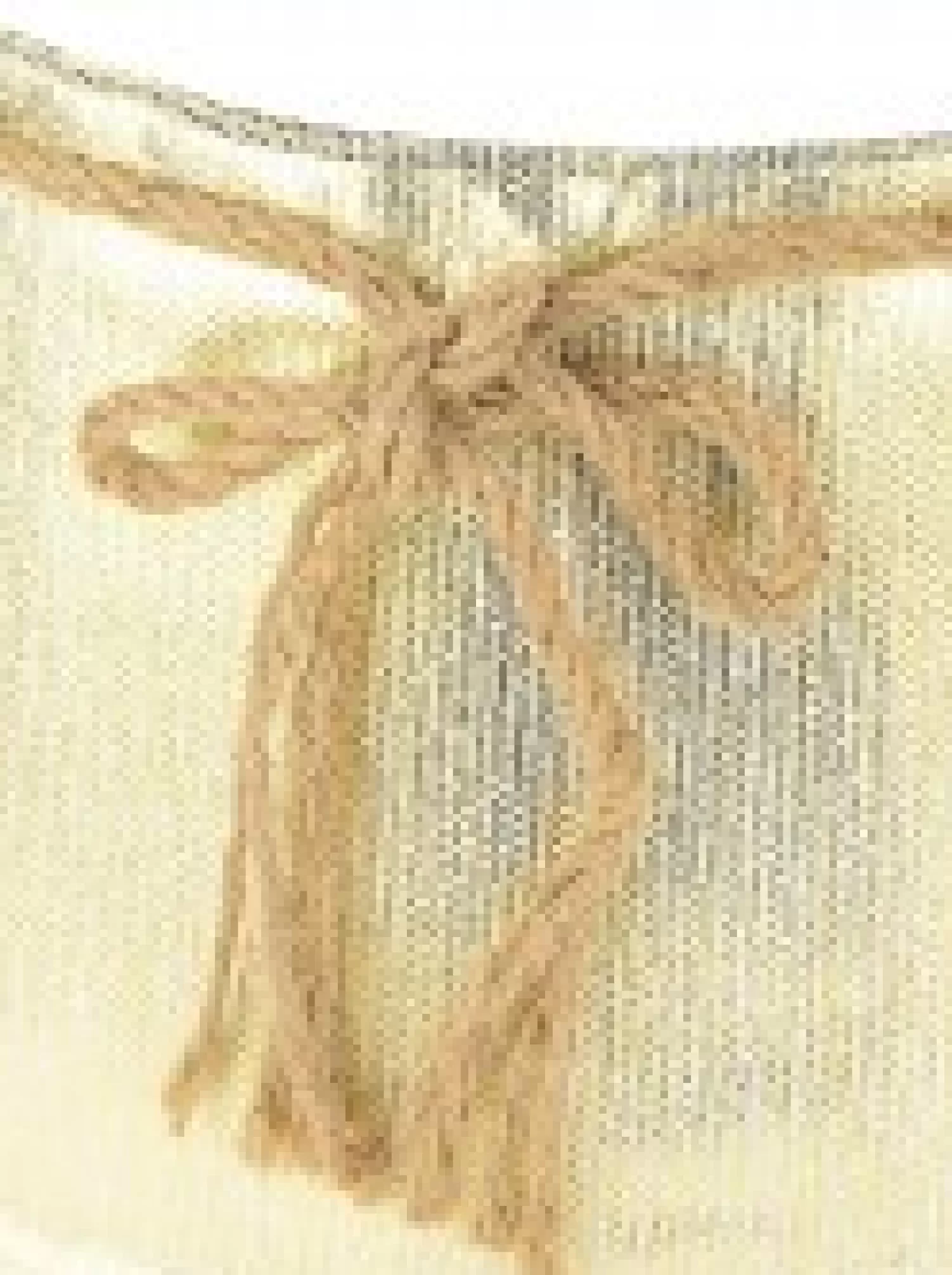 Christmas Warehouse Gold On White Textured Conical Shape & Rope Knot Christmas Tree Skirt - 58Cm> Tree Skirts