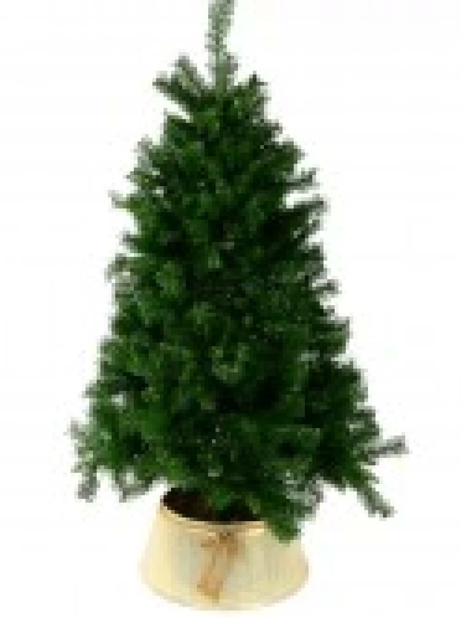 Christmas Warehouse Gold On White Textured Conical Shape & Rope Knot Christmas Tree Skirt - 58Cm> Tree Skirts
