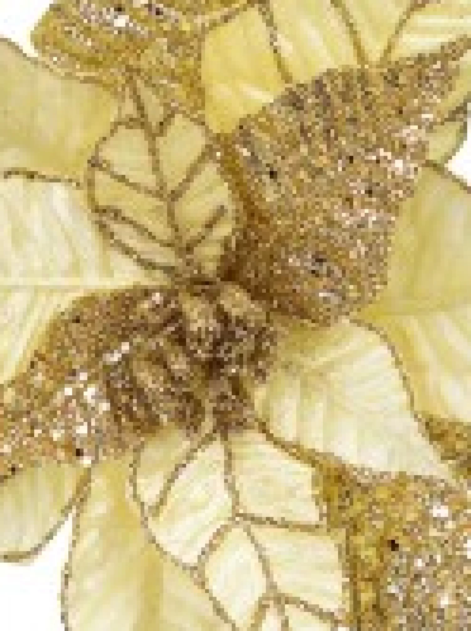 Christmas Warehouse Gold Poinsettia With Gold Glitter Detail Decorative Christmas Flower Pick - 25Cm> Christmas Picks