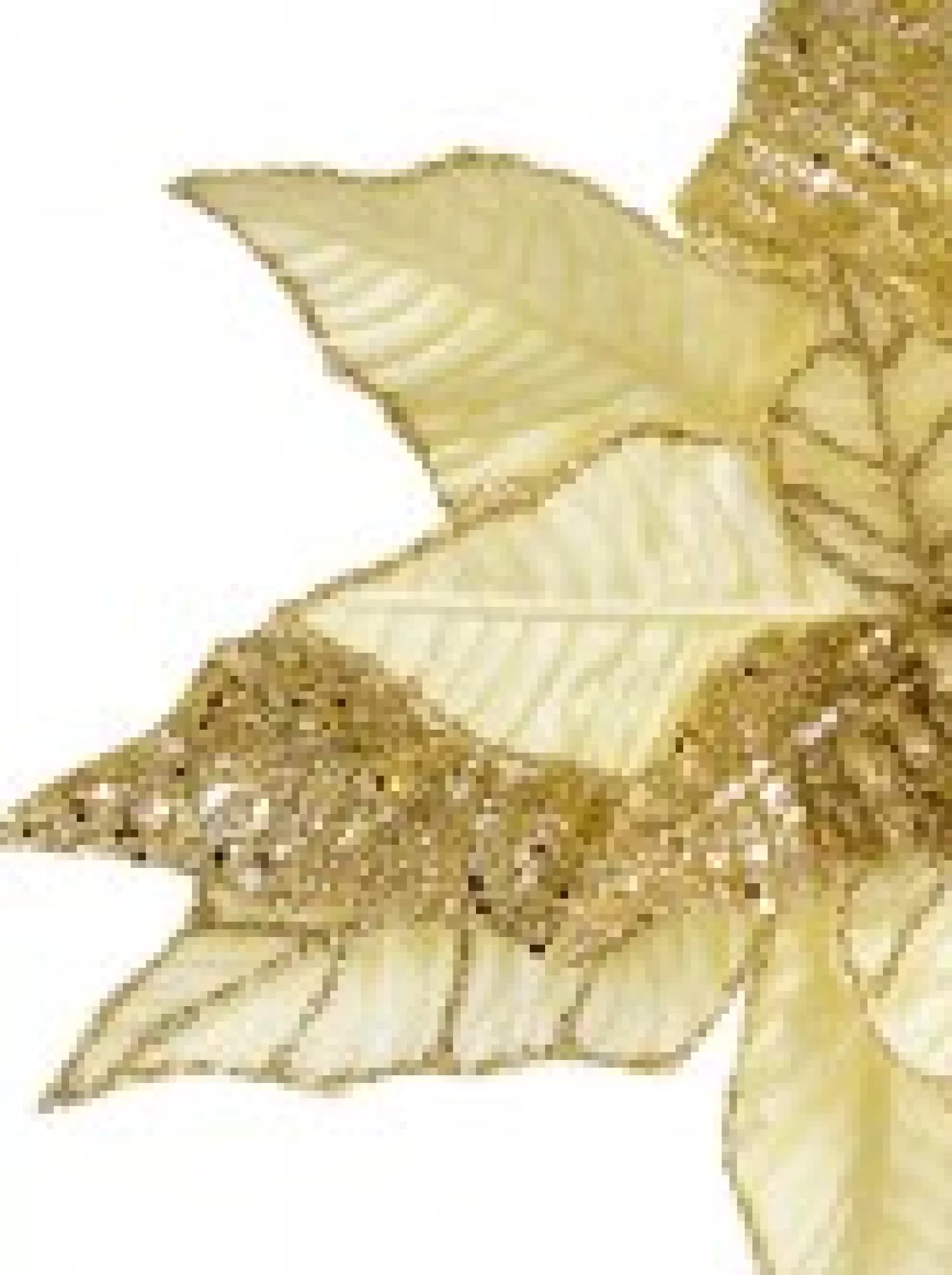 Christmas Warehouse Gold Poinsettia With Gold Glitter Detail Decorative Christmas Flower Pick - 25Cm> Christmas Picks