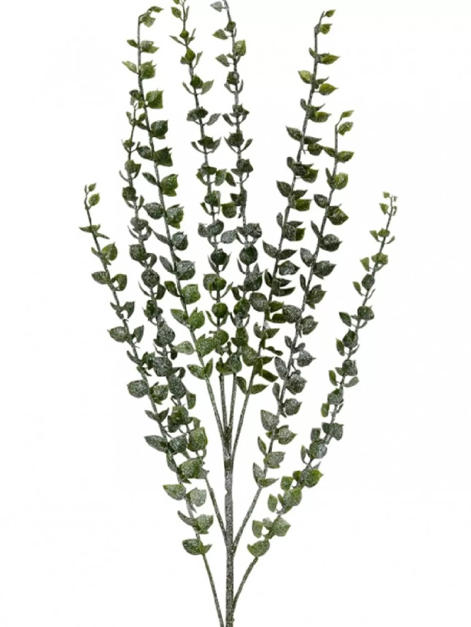 Christmas Warehouse Green Baby Blue Eucalyptus Leaves Decorative Christmas Spray Stem - 80Cm> Christmas Stems
