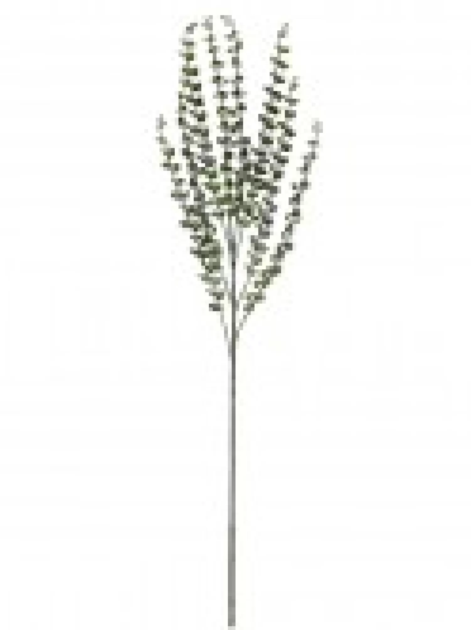 Christmas Warehouse Green Baby Blue Eucalyptus Leaves Decorative Christmas Spray Stem - 80Cm> Christmas Stems