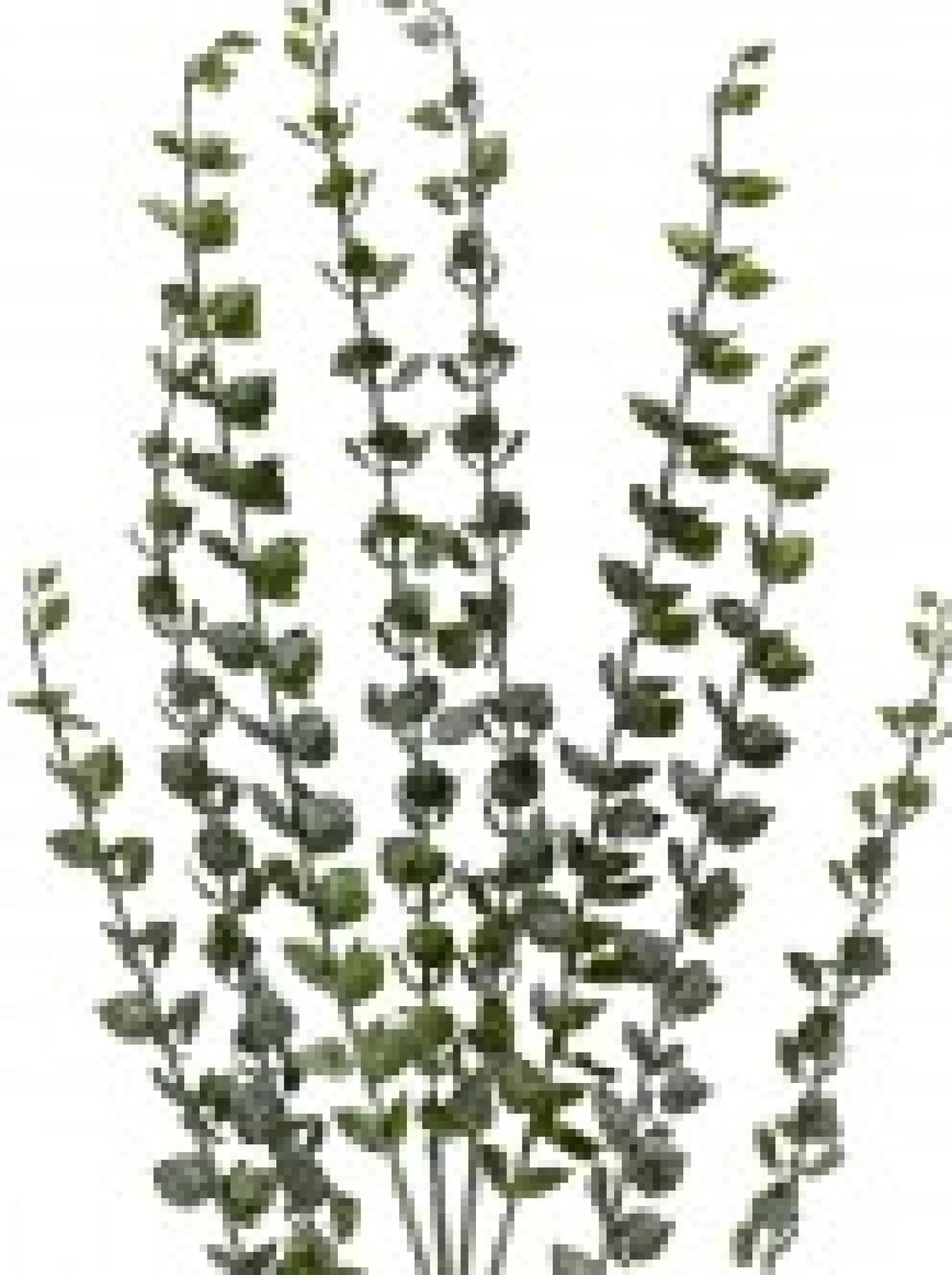 Christmas Warehouse Green Baby Blue Eucalyptus Leaves Decorative Christmas Spray Stem - 80Cm> Christmas Stems