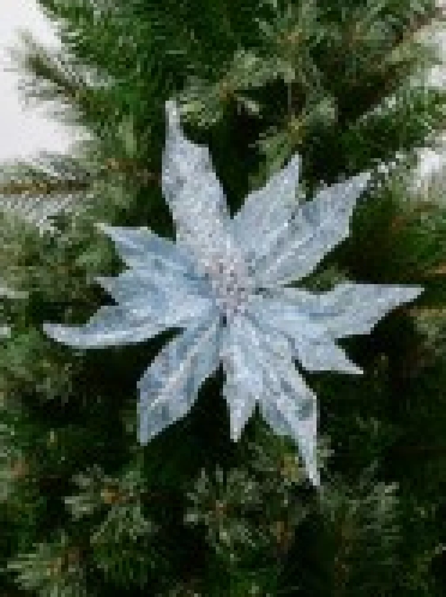 Christmas Warehouse Light Baby Blue Glittered Mesh Leaf Poinsettia Christmas Flower Pick - 28Cm> Christmas Picks